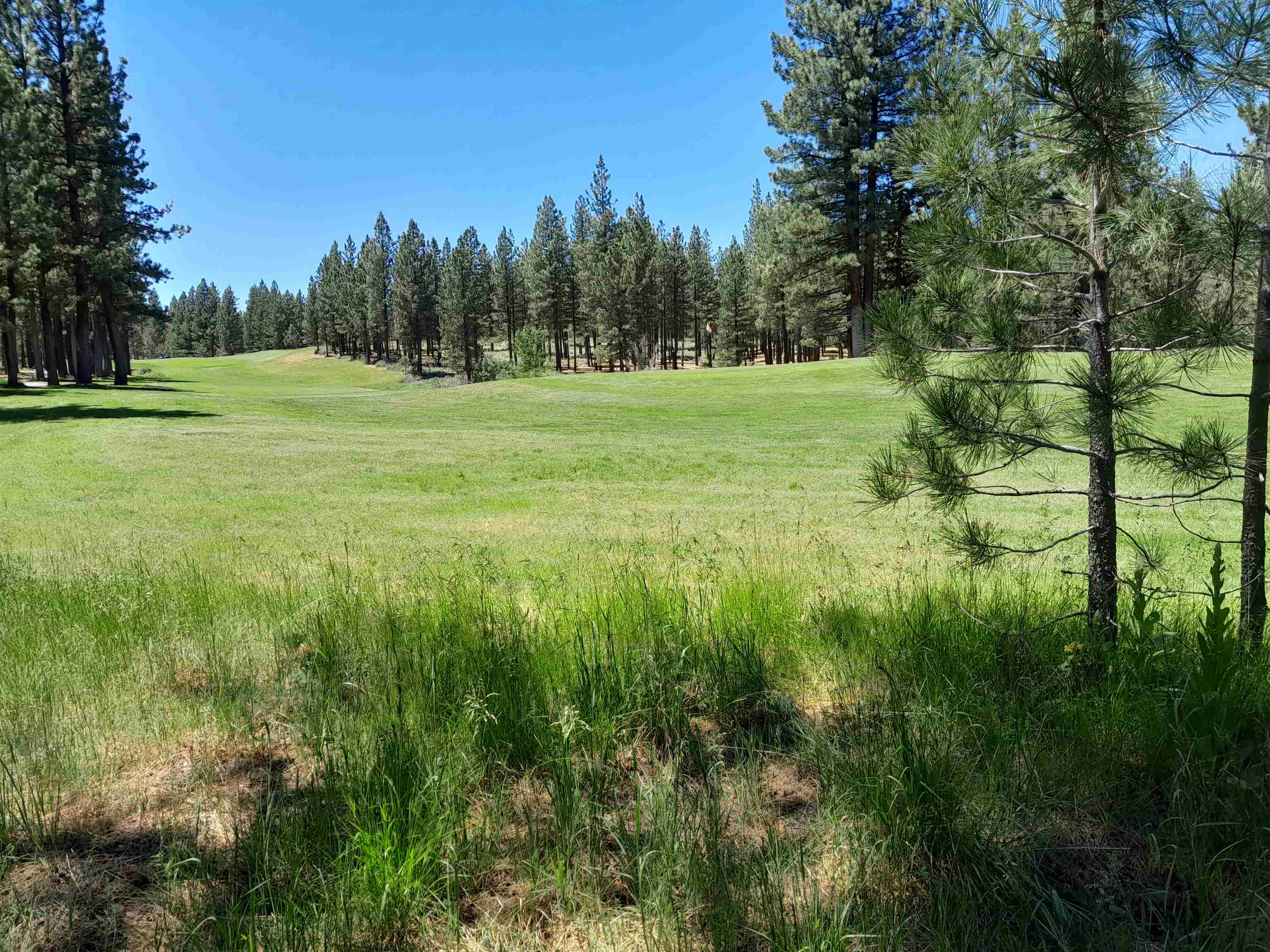 597 S Deer Trail, Portola, California image 16