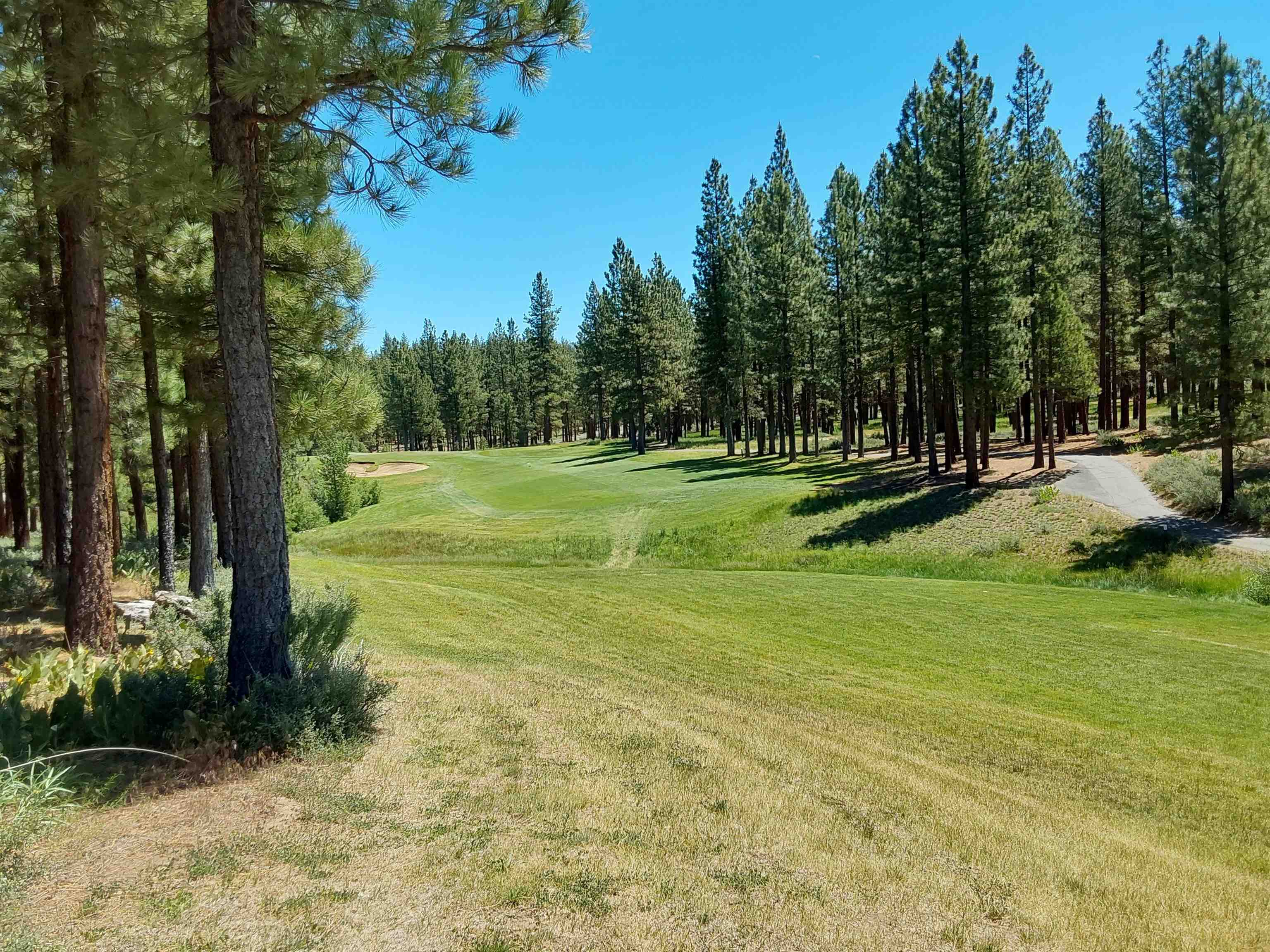 597 S Deer Trail, Portola, California image 12