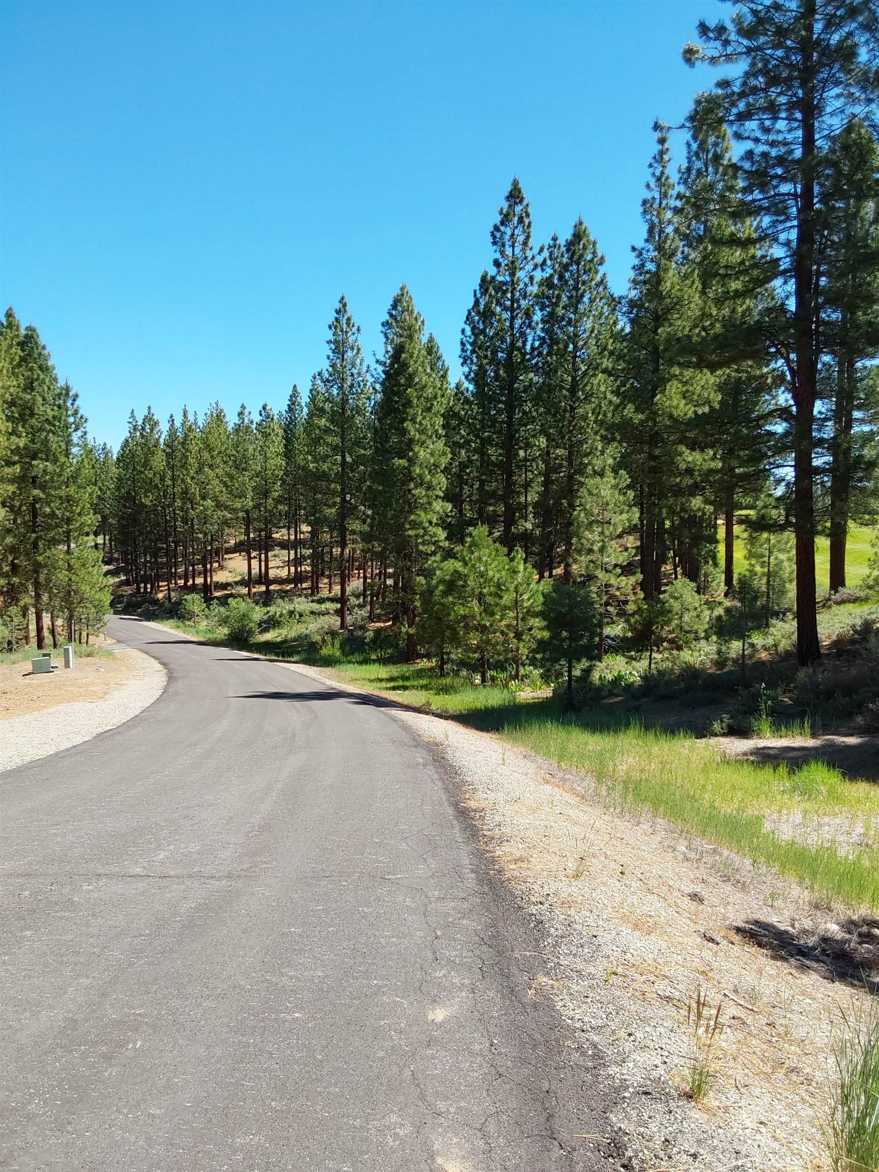 597 S Deer Trail, Portola, California image 9