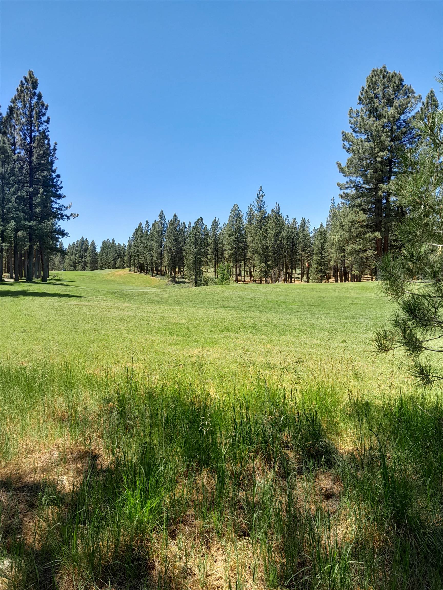 597 S Deer Trail, Portola, California image 17