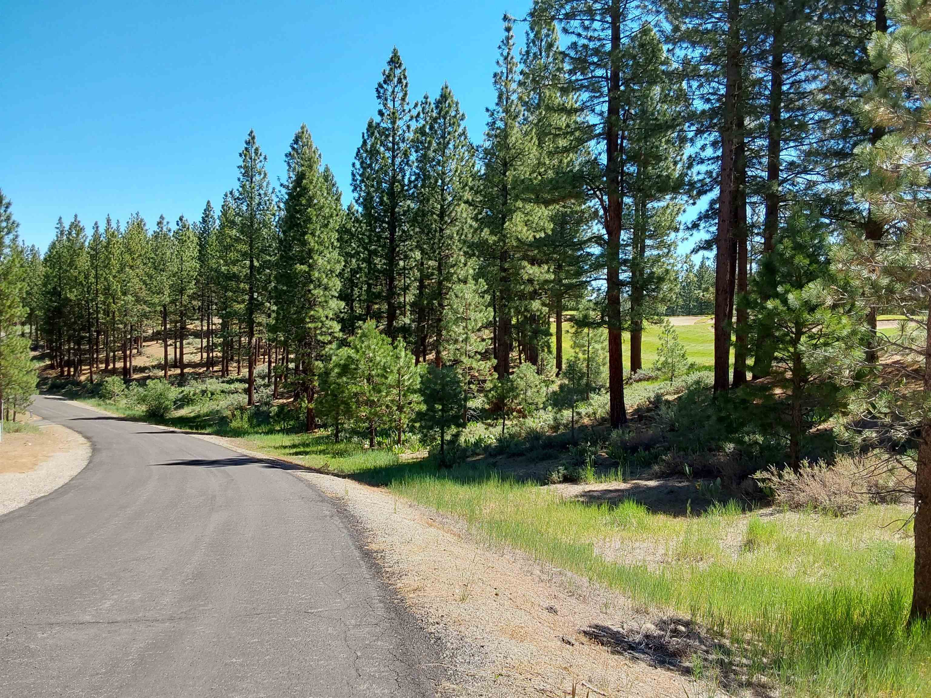 597 S Deer Trail, Portola, California image 8