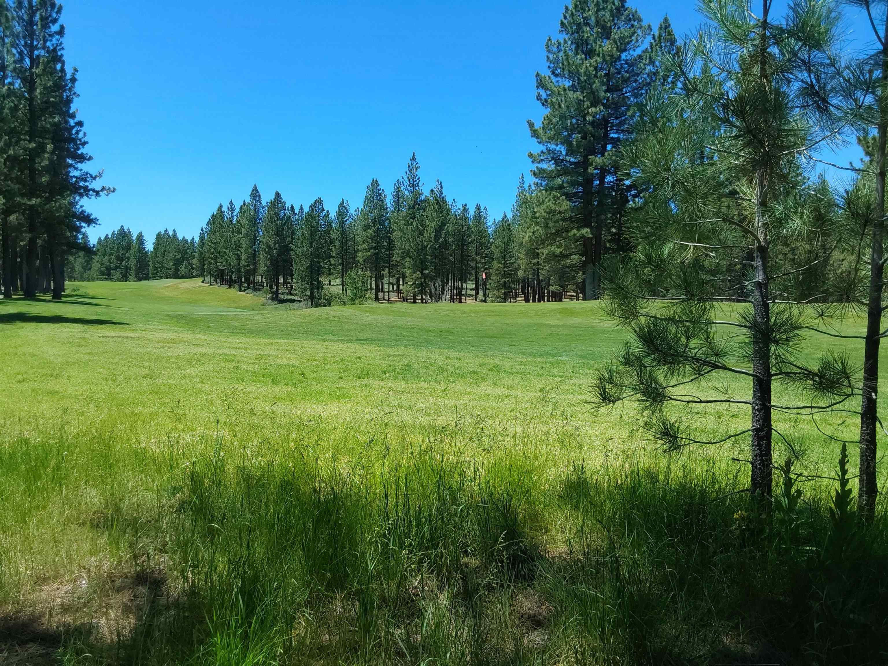 597 S Deer Trail, Portola, California image 15