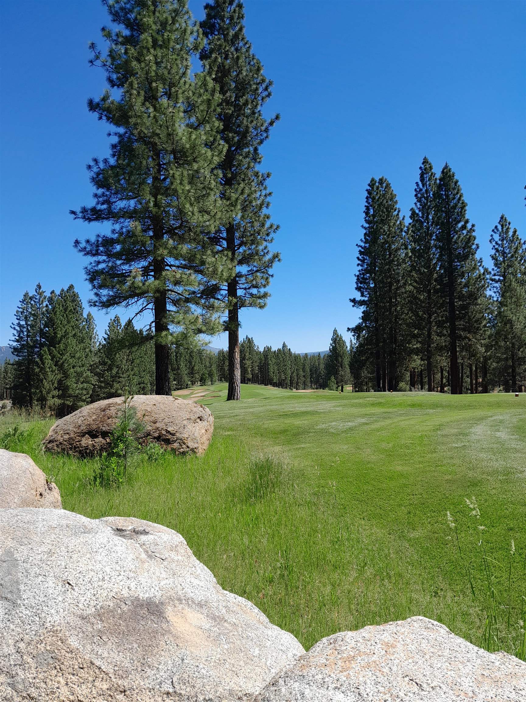 597 S Deer Trail, Portola, California image 10