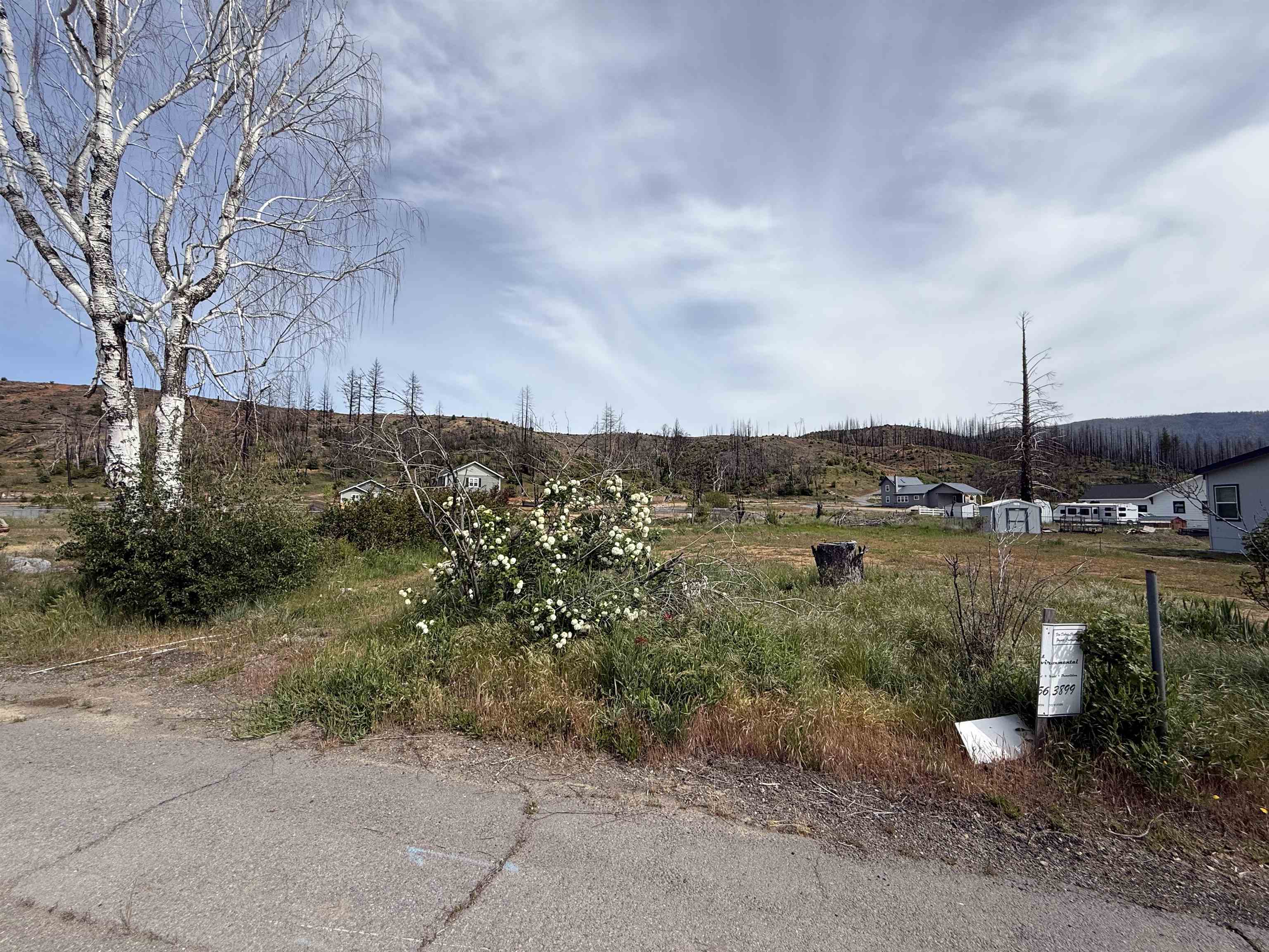 304 Bush Street, Greenville, New Mexico image 3