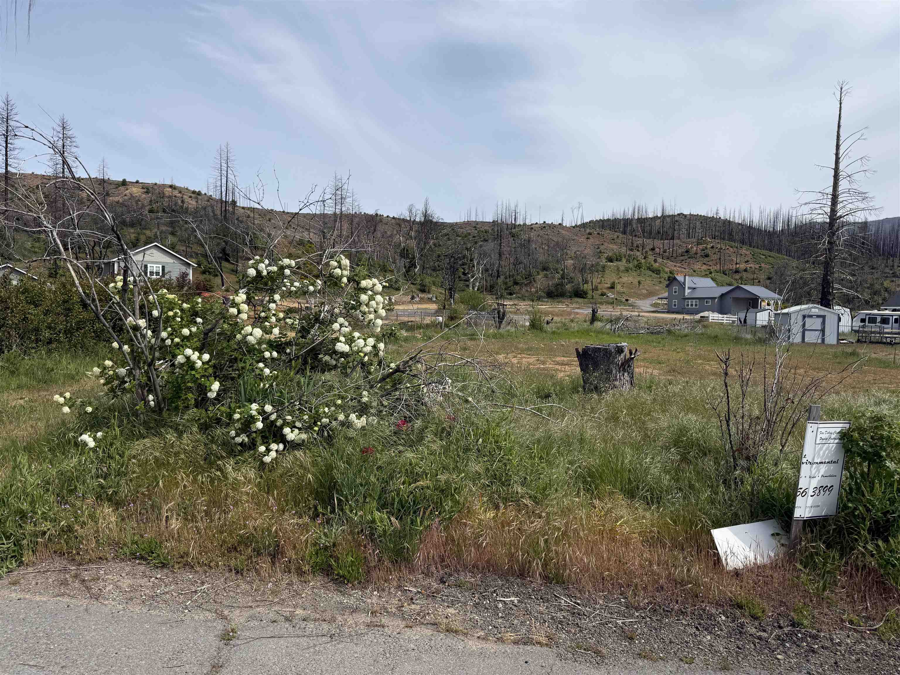 304 Bush Street, Greenville, New Mexico image 2