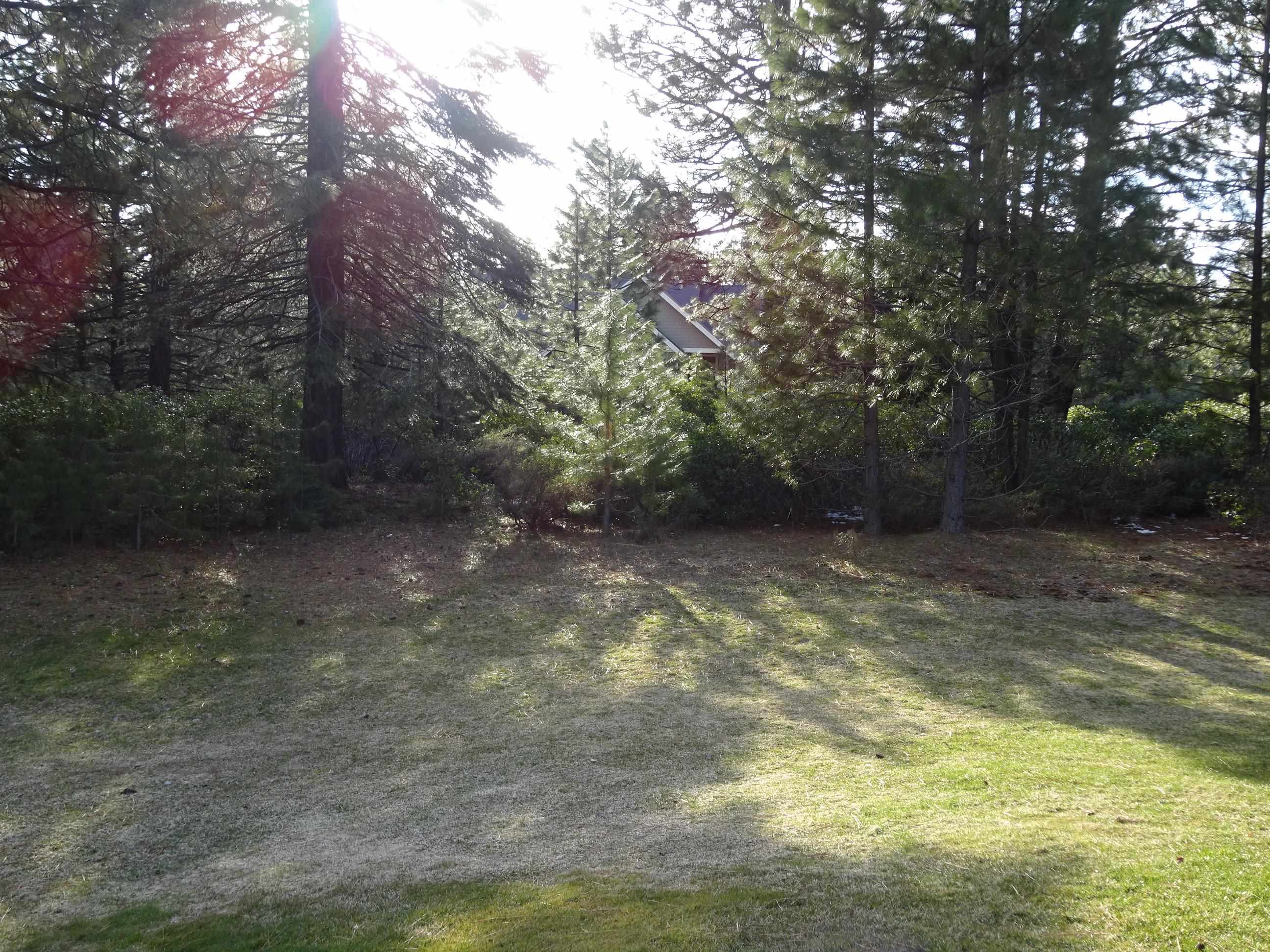 43 Flint Way, Lake Almanor, New Mexico image 5