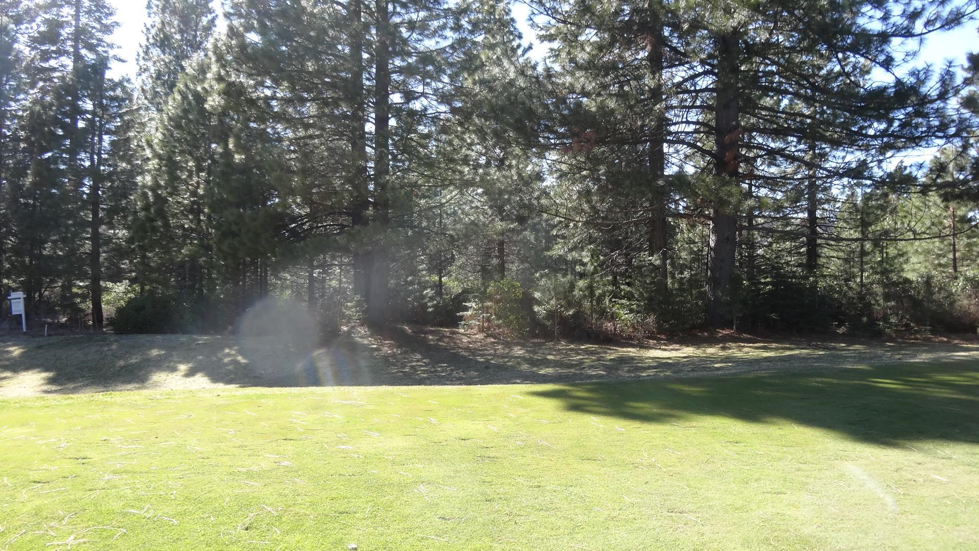 43 Flint Way, Lake Almanor, New Mexico image 4