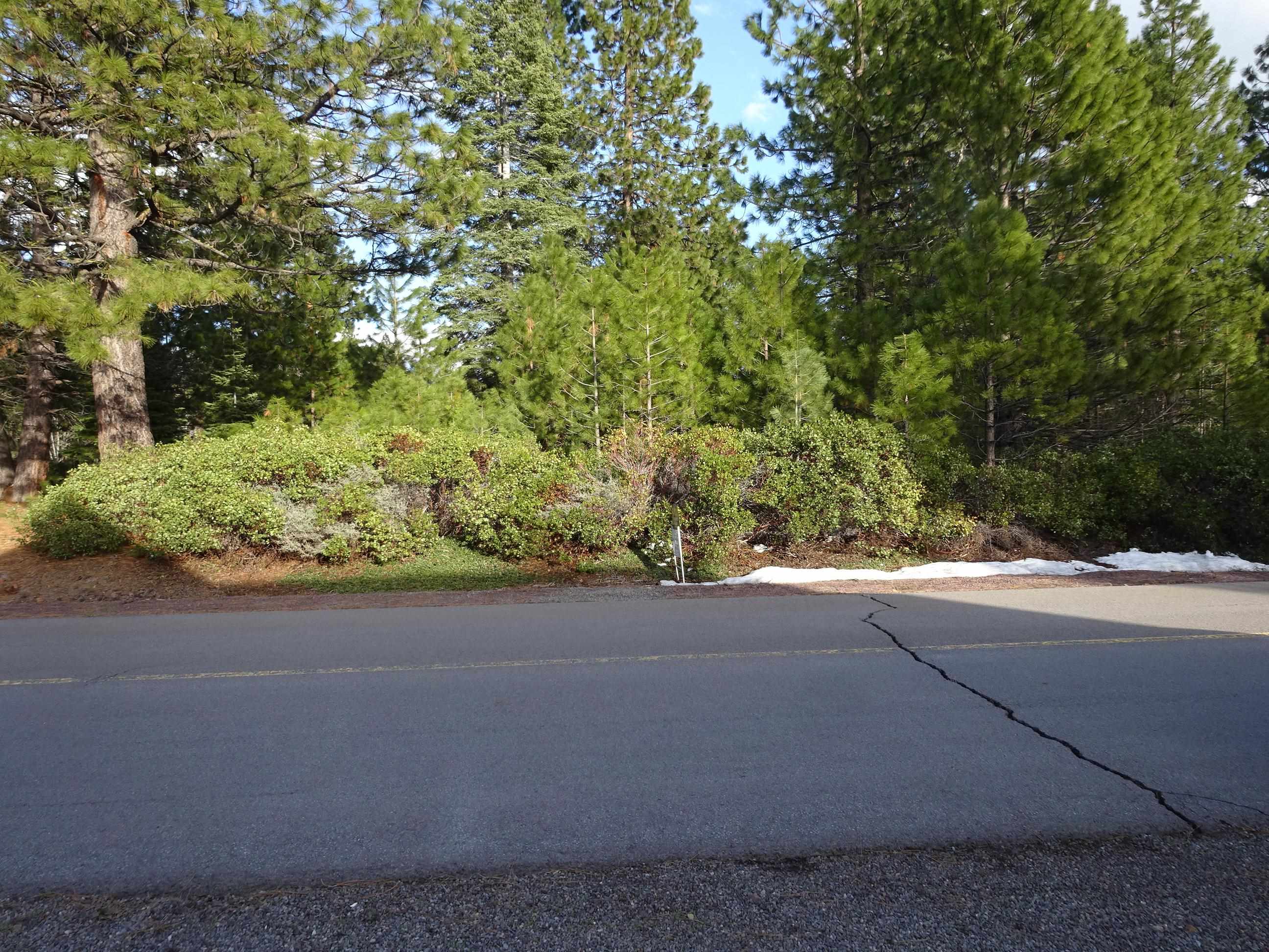 43 Flint Way, Lake Almanor, New Mexico image 1