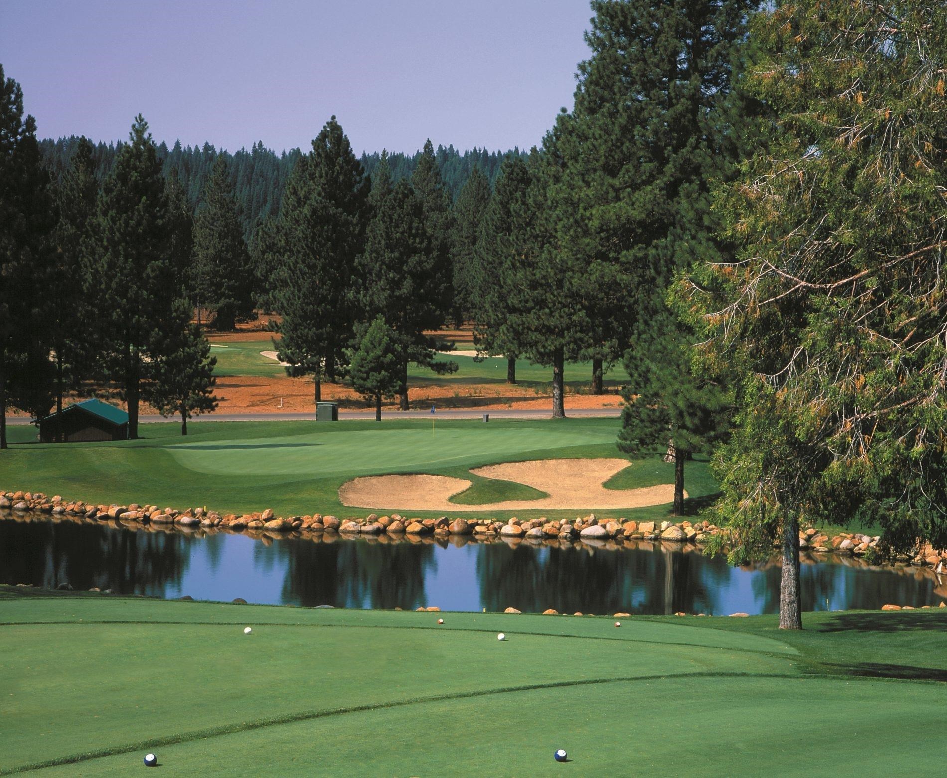 43 Flint Way, Lake Almanor, New Mexico image 15