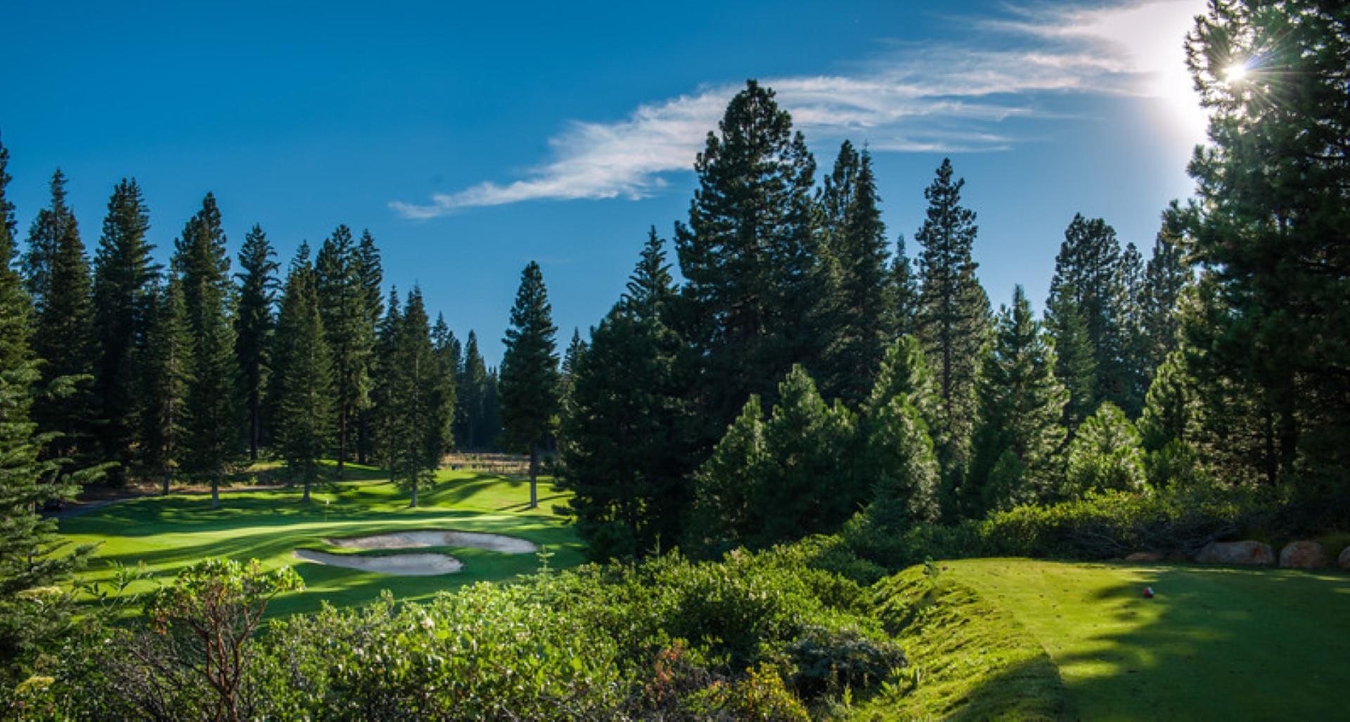 43 Flint Way, Lake Almanor, New Mexico image 19
