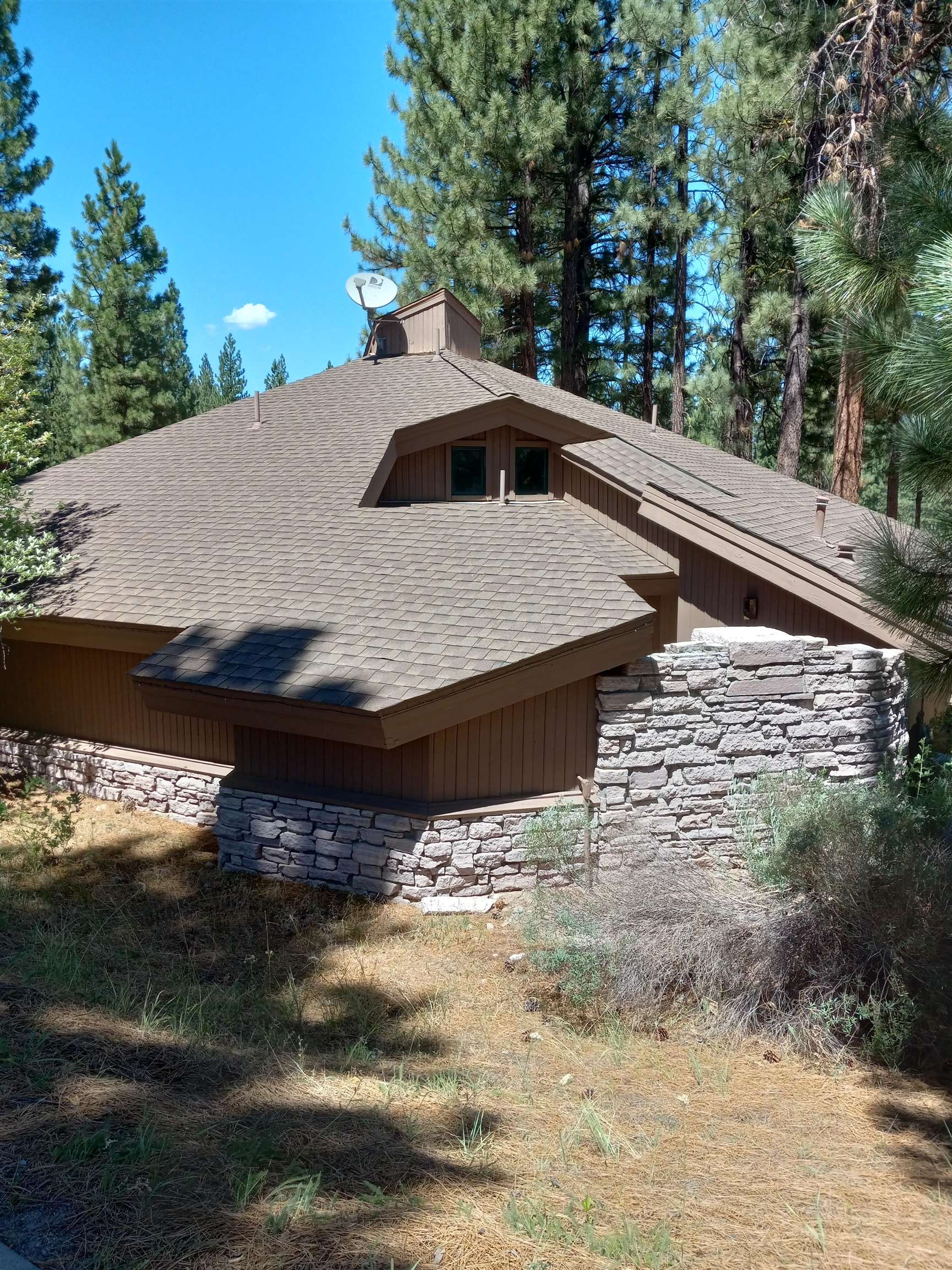 1403 Great Spirit #260, Portola, California image 3