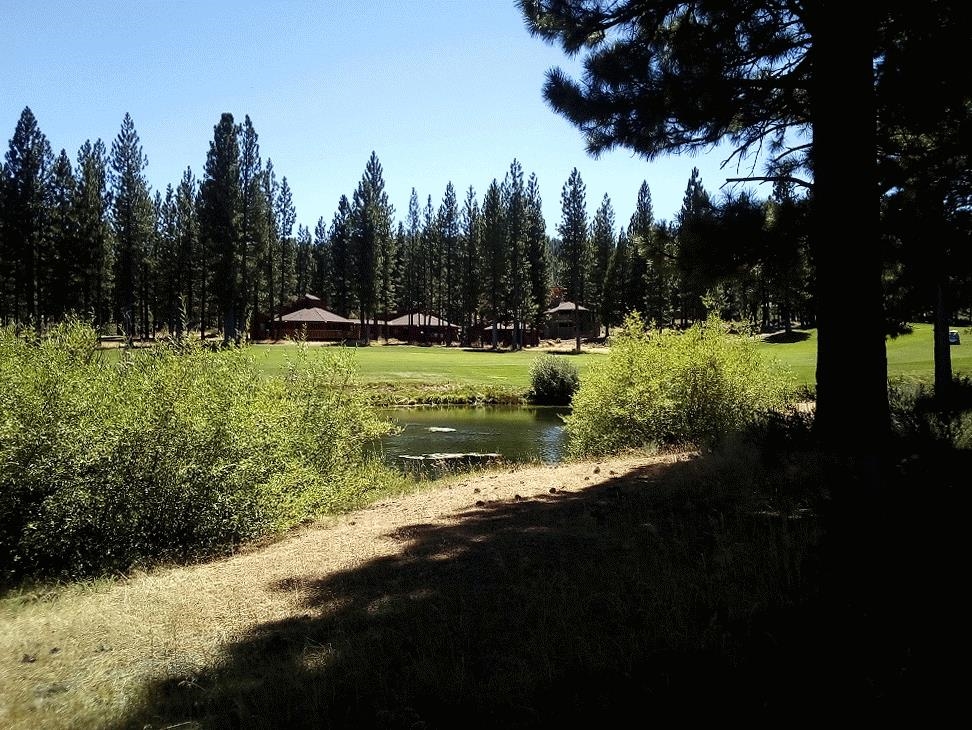1403 Great Spirit #260, Portola, California image 1