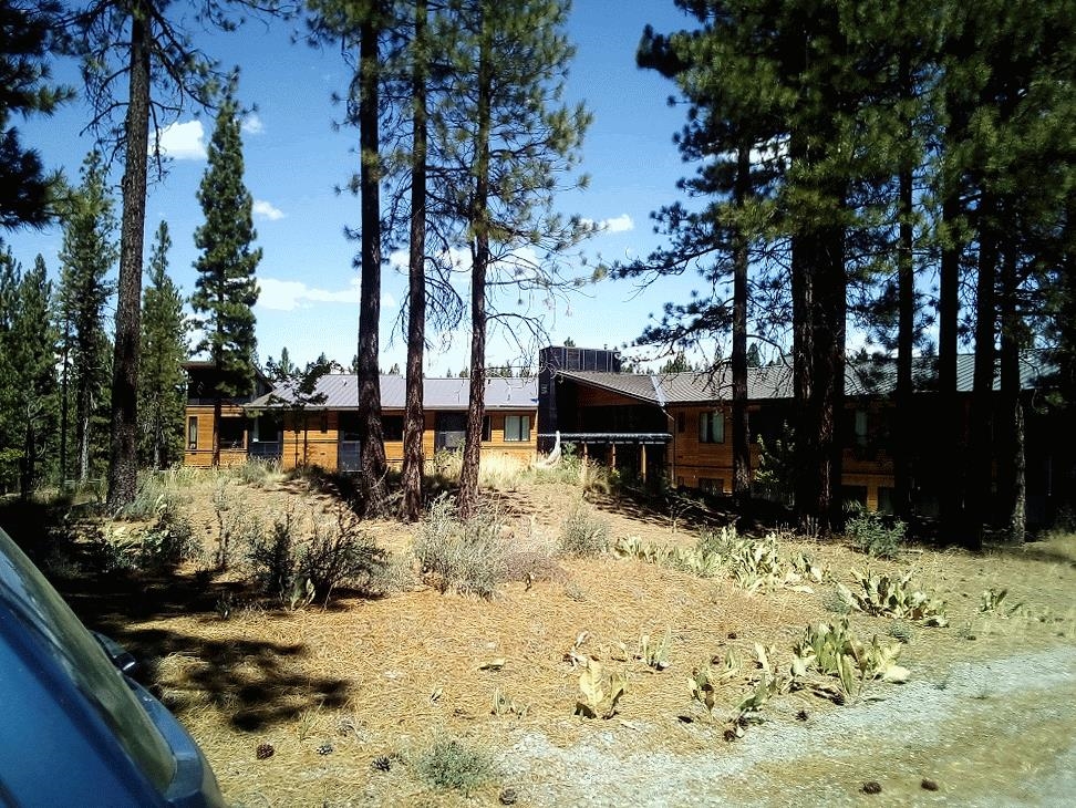 1403 Great Spirit #260, Portola, California image 12