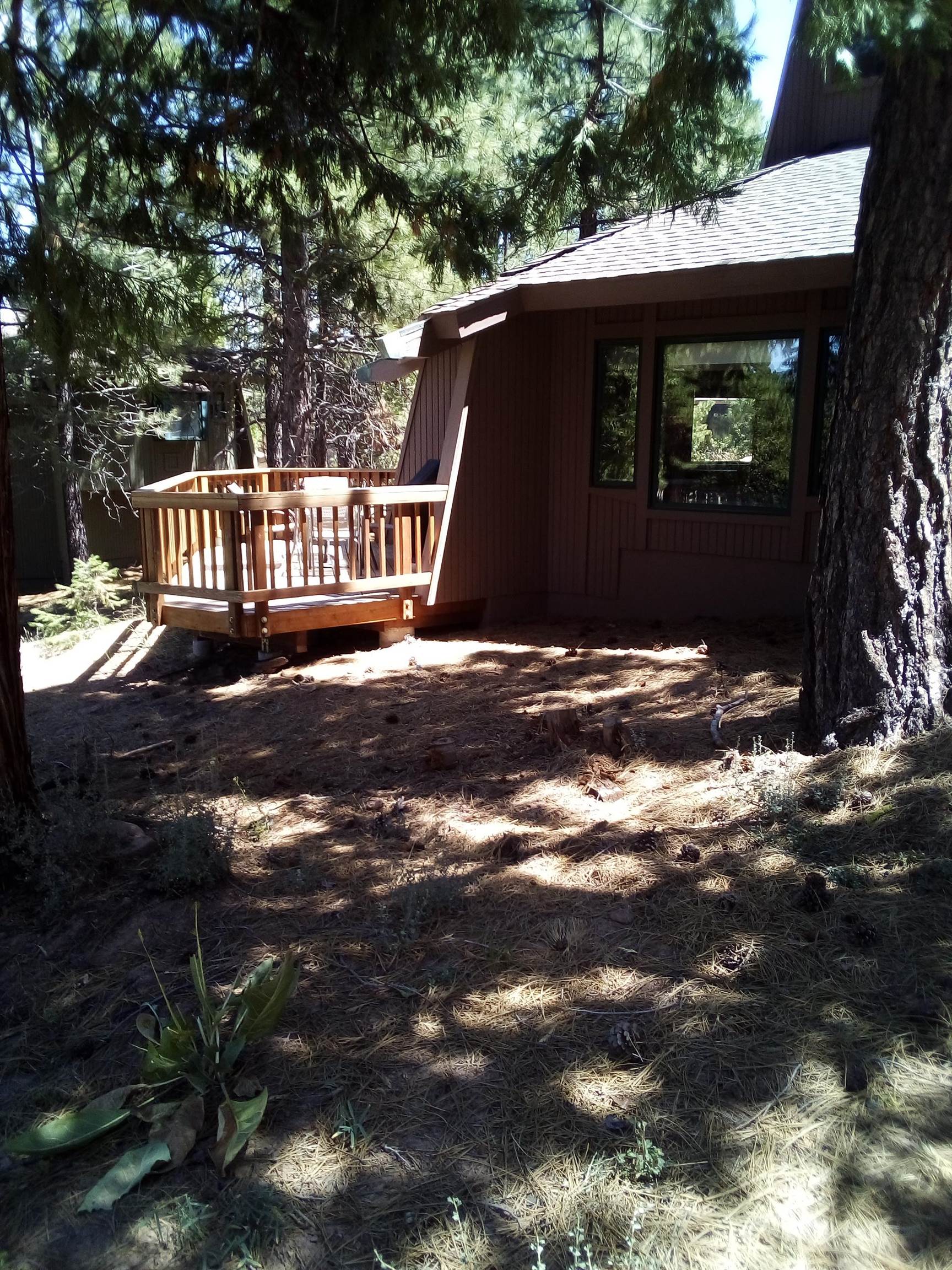 1403 Great Spirit #260, Portola, California image 10