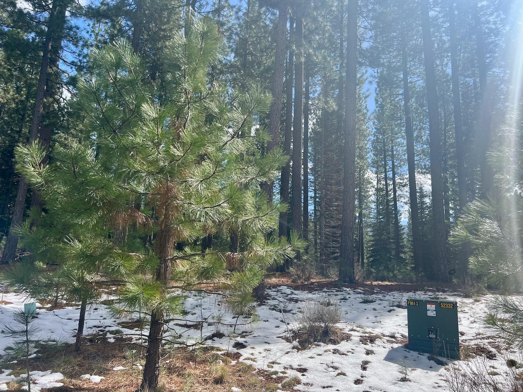879 Prospector Drive, Clio, California image 9