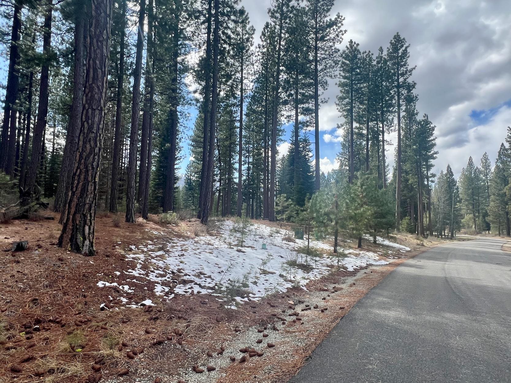 879 Prospector Drive, Clio, California image 23