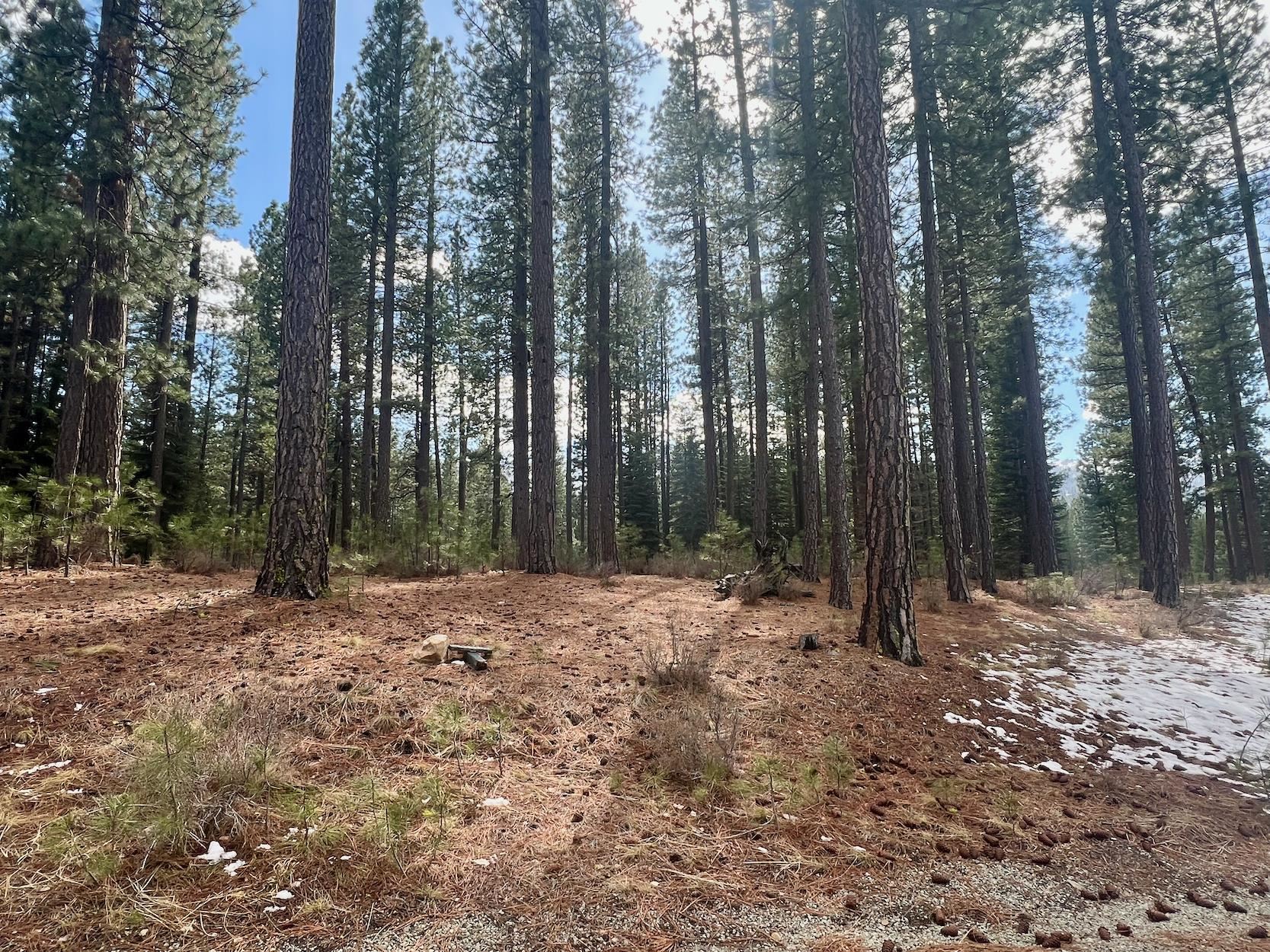 879 Prospector Drive, Clio, California image 24