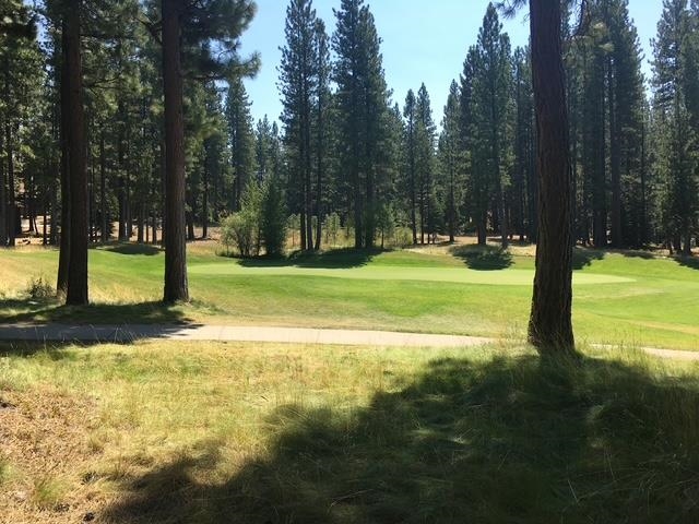 879 Prospector Drive, Clio, California image 28