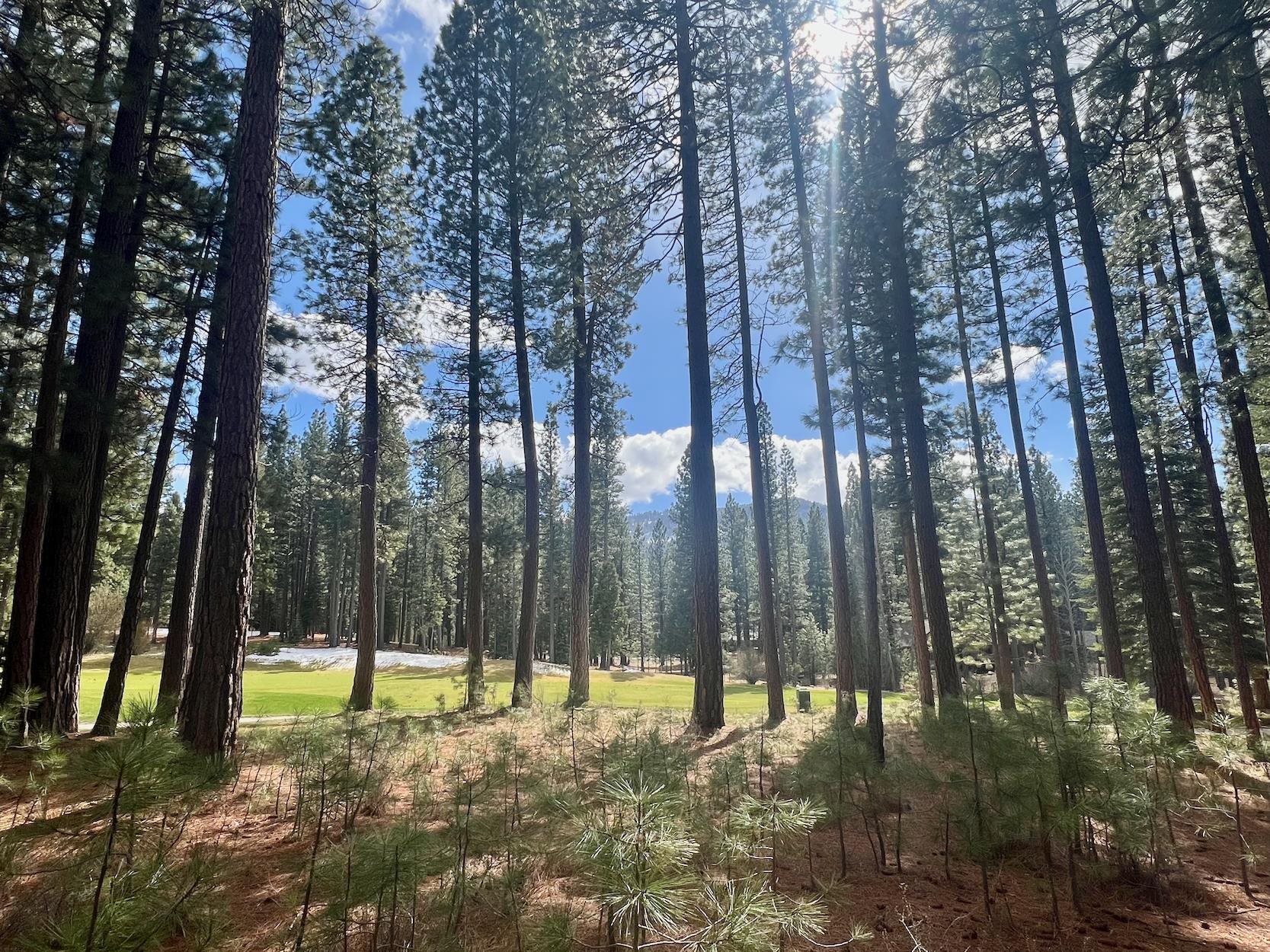 879 Prospector Drive, Clio, California image 1