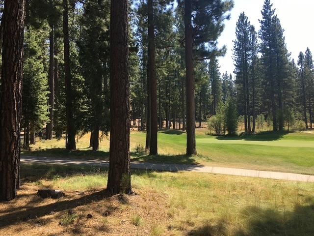 879 Prospector Drive, Clio, California image 4