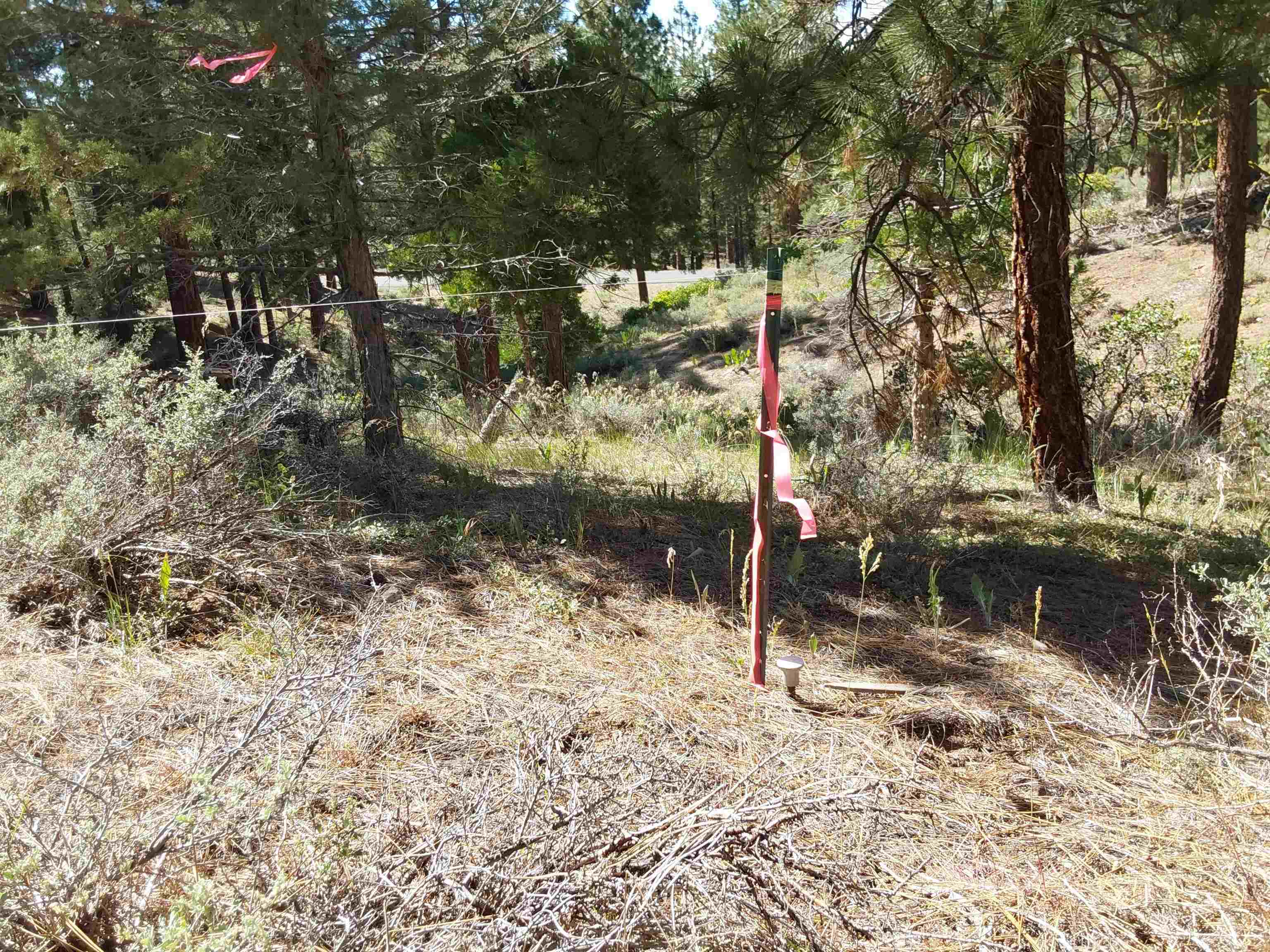 665 Great Spirit Rd, Portola, California image 30