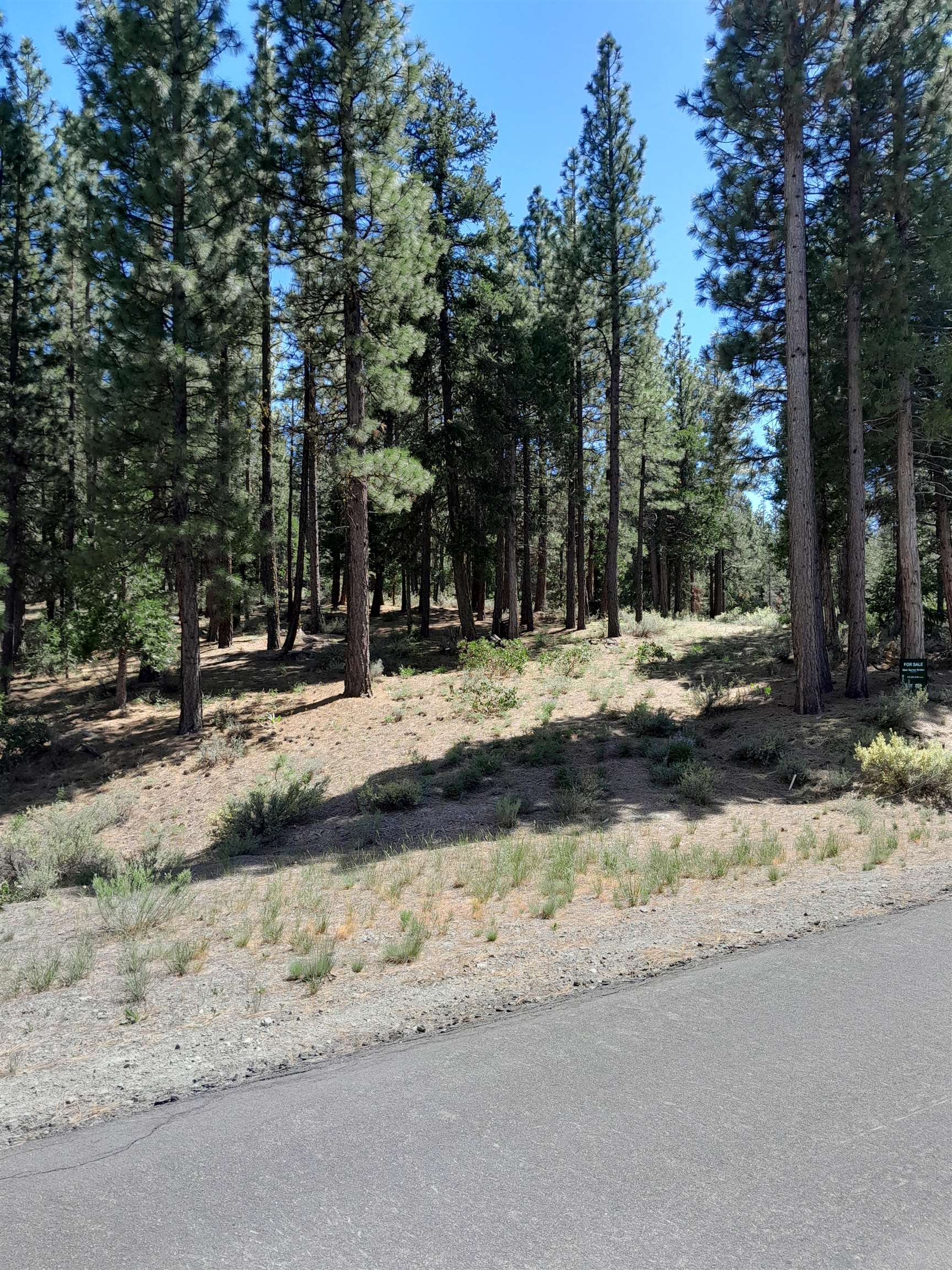 665 Great Spirit Rd, Portola, California image 1