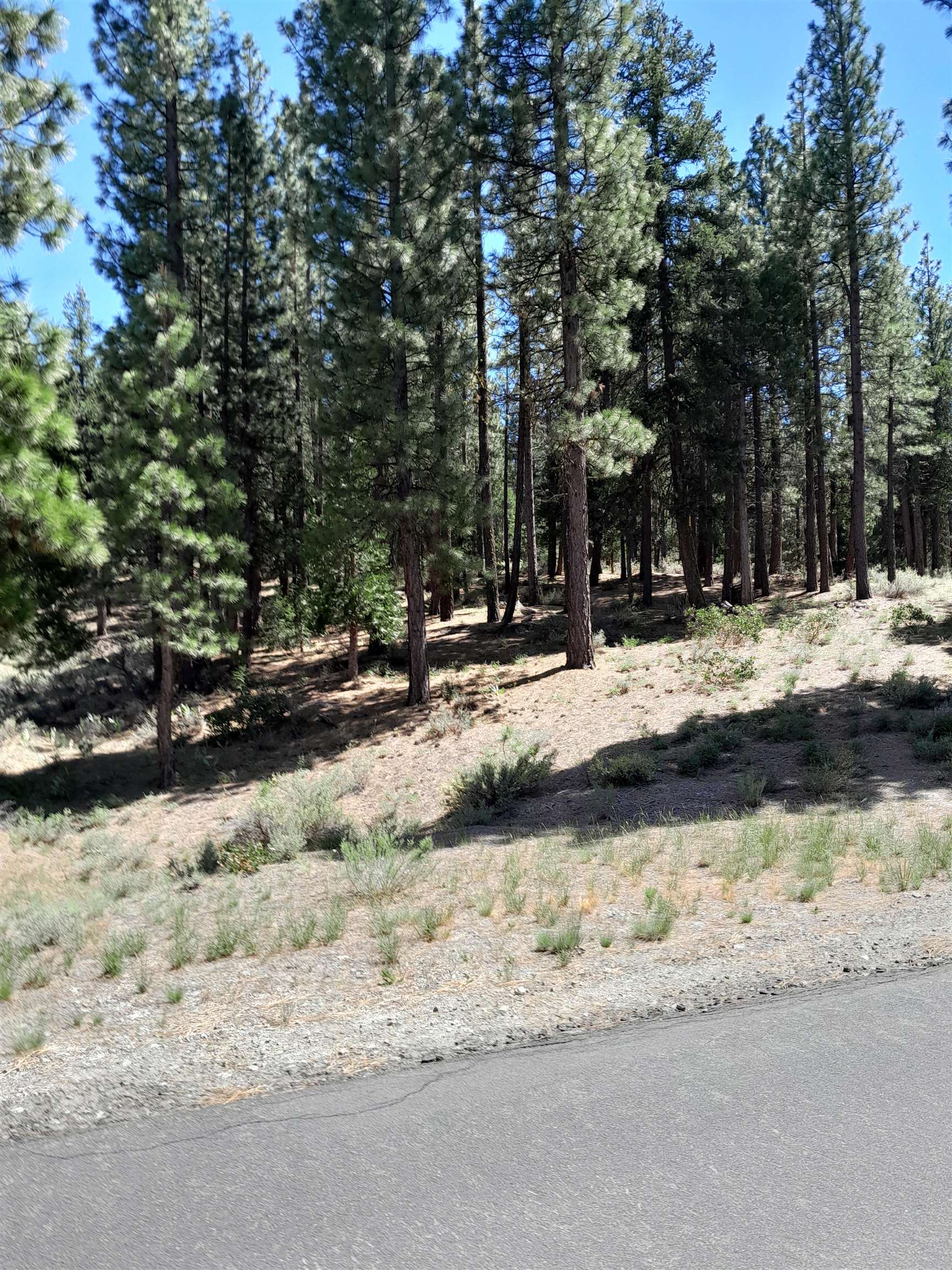 665 Great Spirit Rd, Portola, California image 15