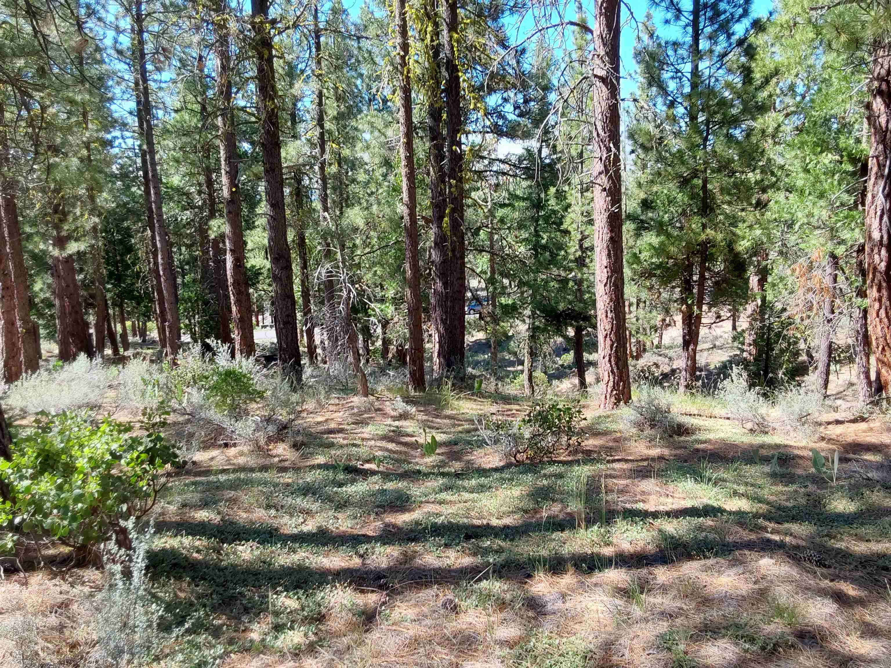 665 Great Spirit Rd, Portola, California image 32