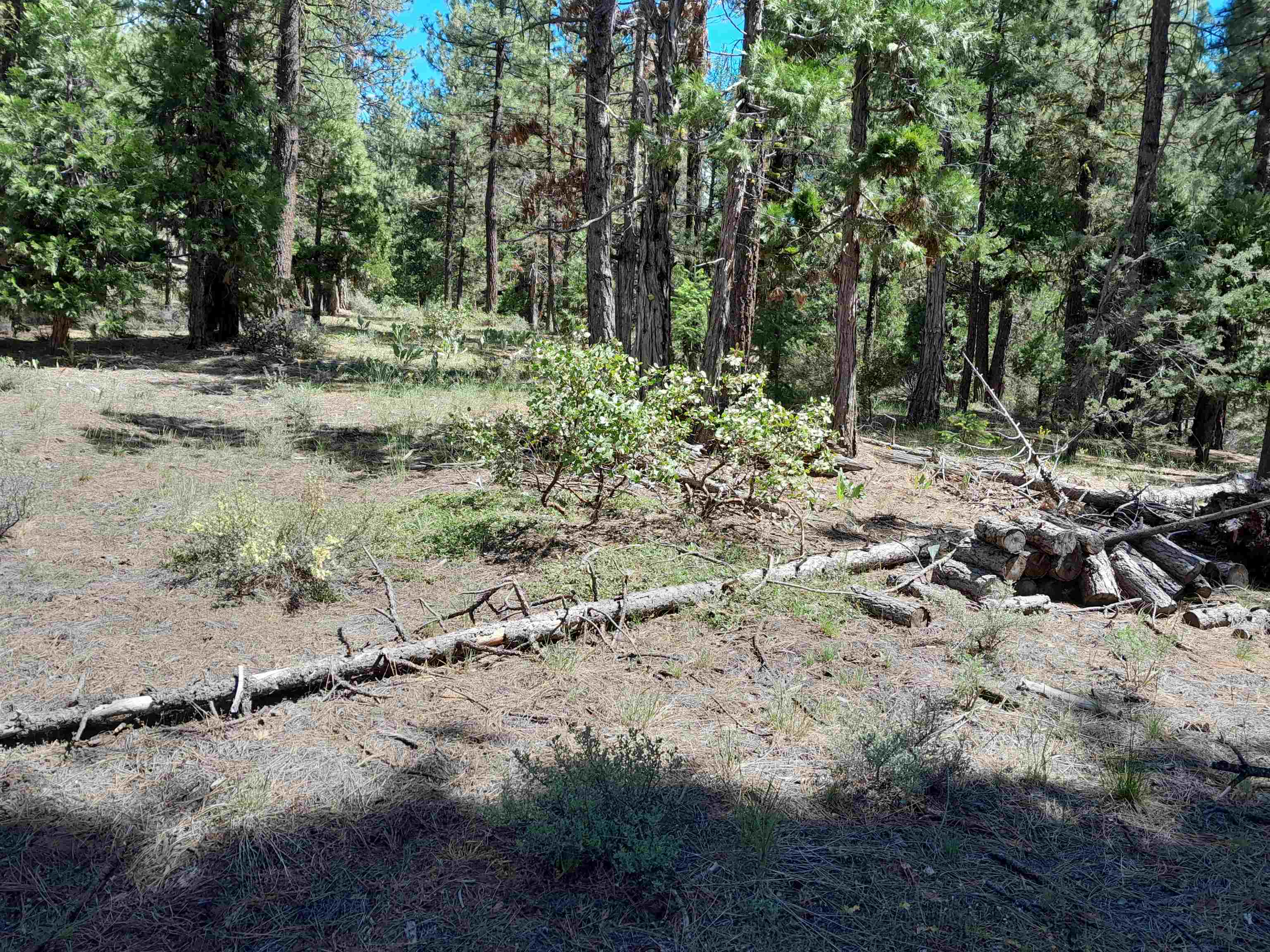665 Great Spirit Rd, Portola, California image 16