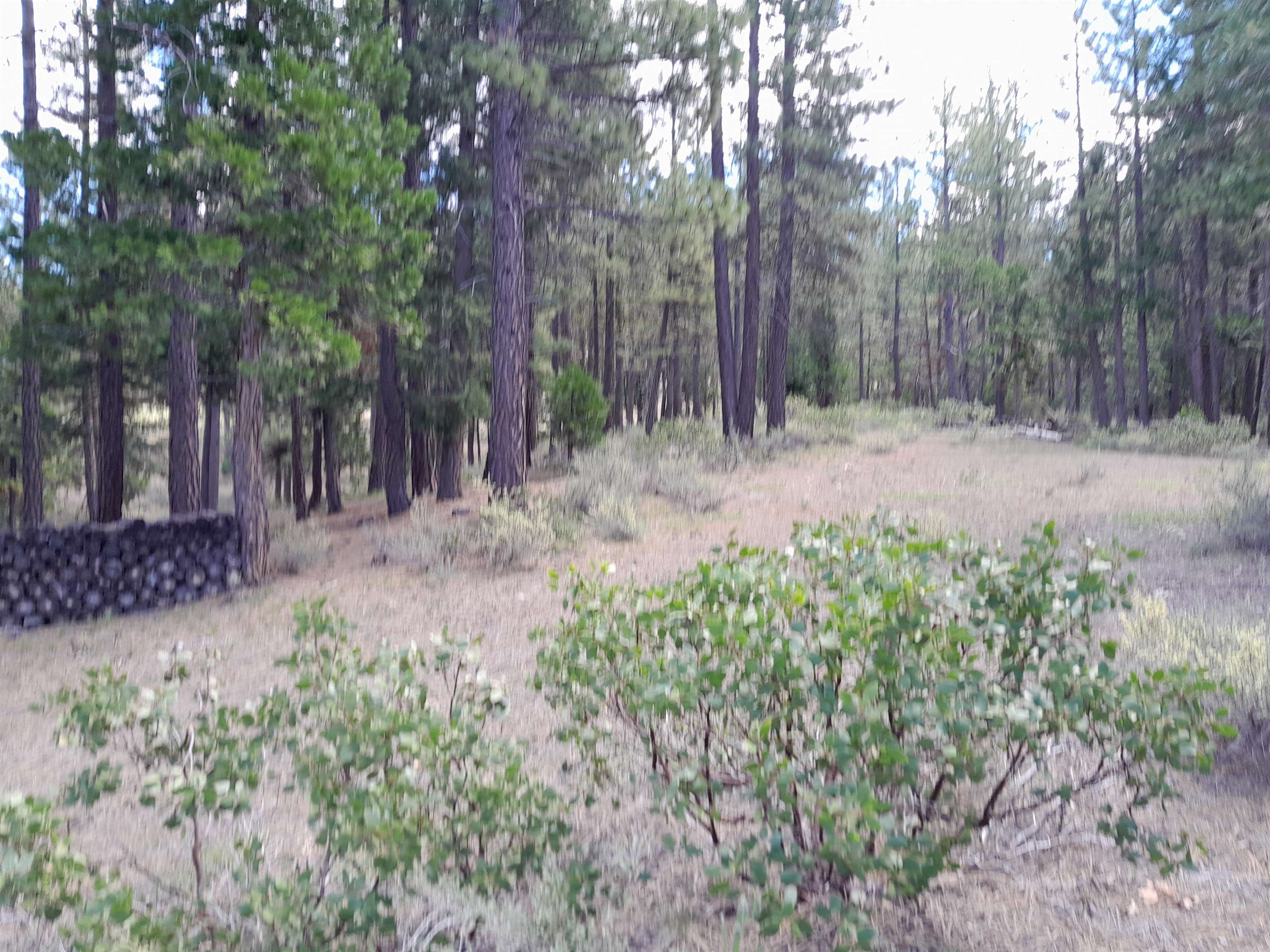 665 Great Spirit Rd, Portola, California image 12