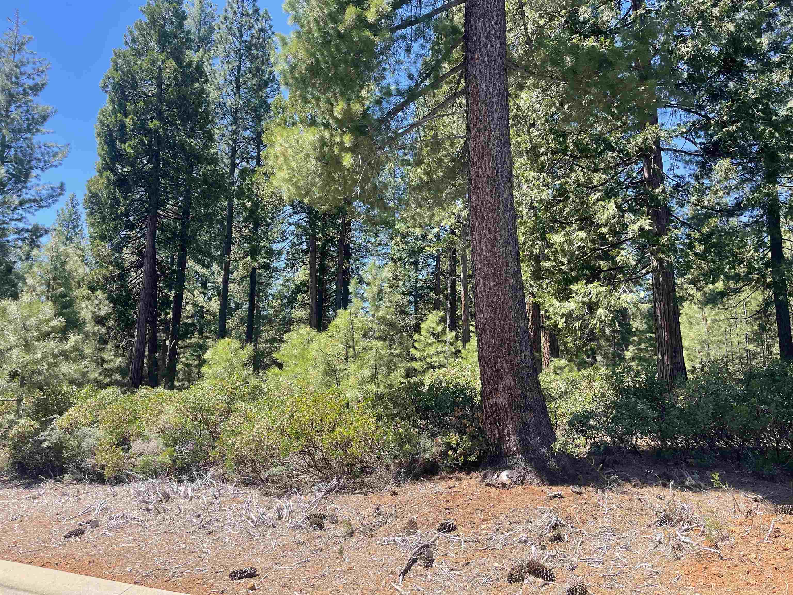 84 Fox Pine Drive, Lake Almanor, Texas image 2
