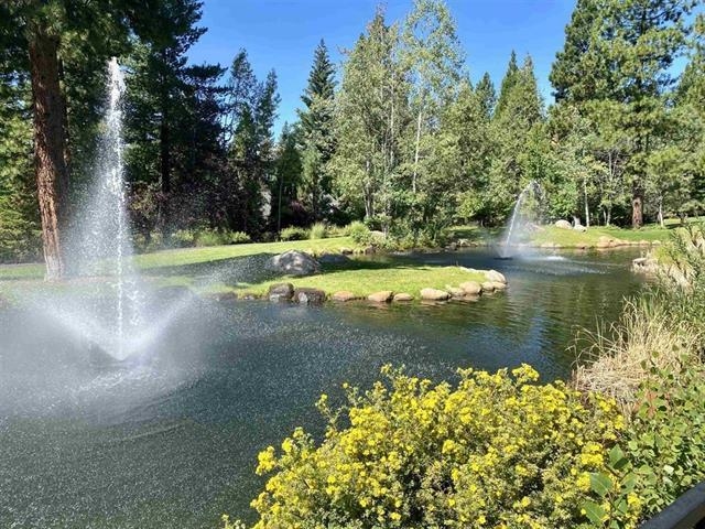 84 Fox Pine Drive, Lake Almanor, Texas image 3