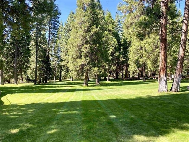 84 Fox Pine Drive, Lake Almanor, Texas image 5