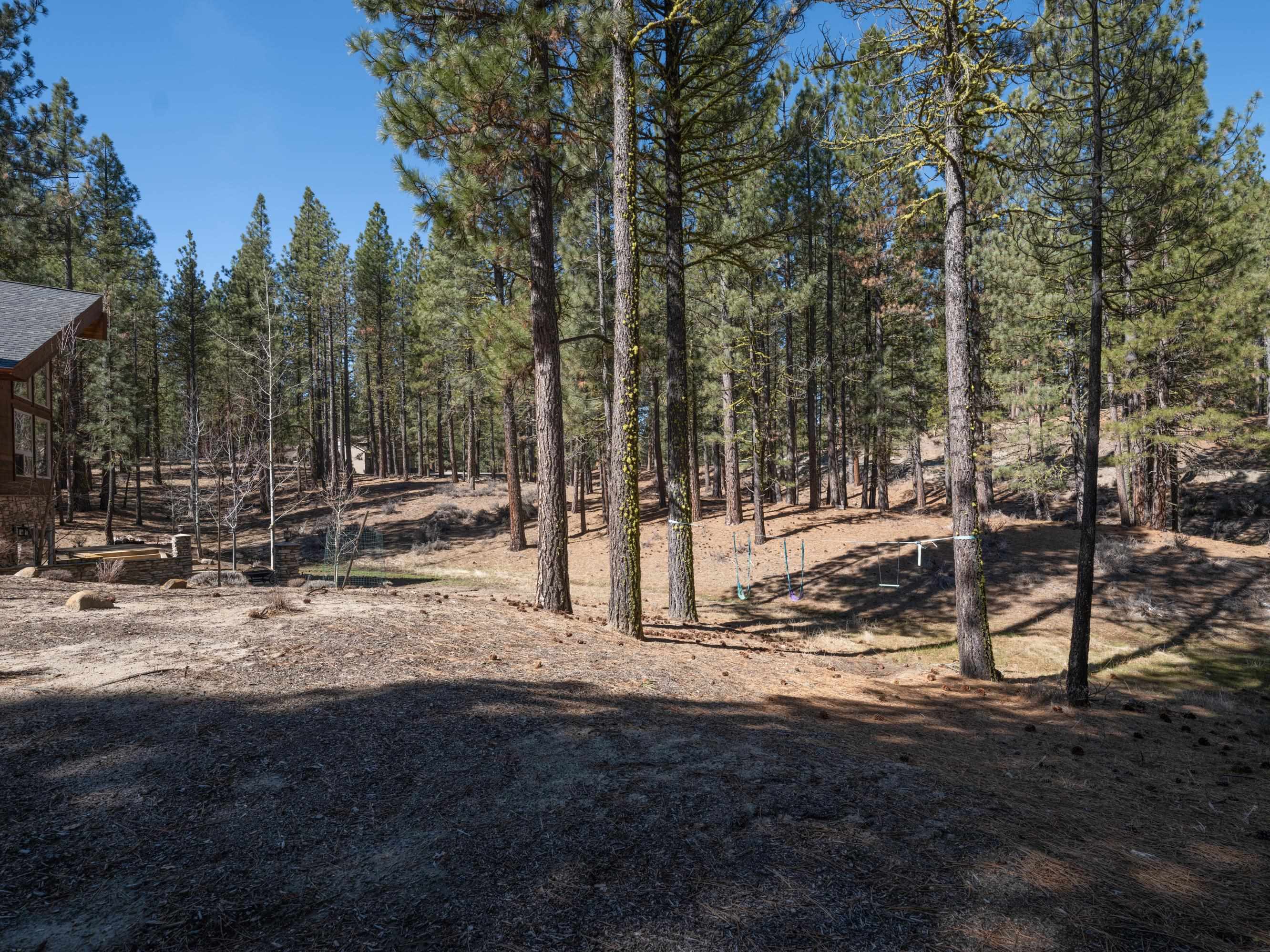 213 Cody Drive, Clio, California image 39