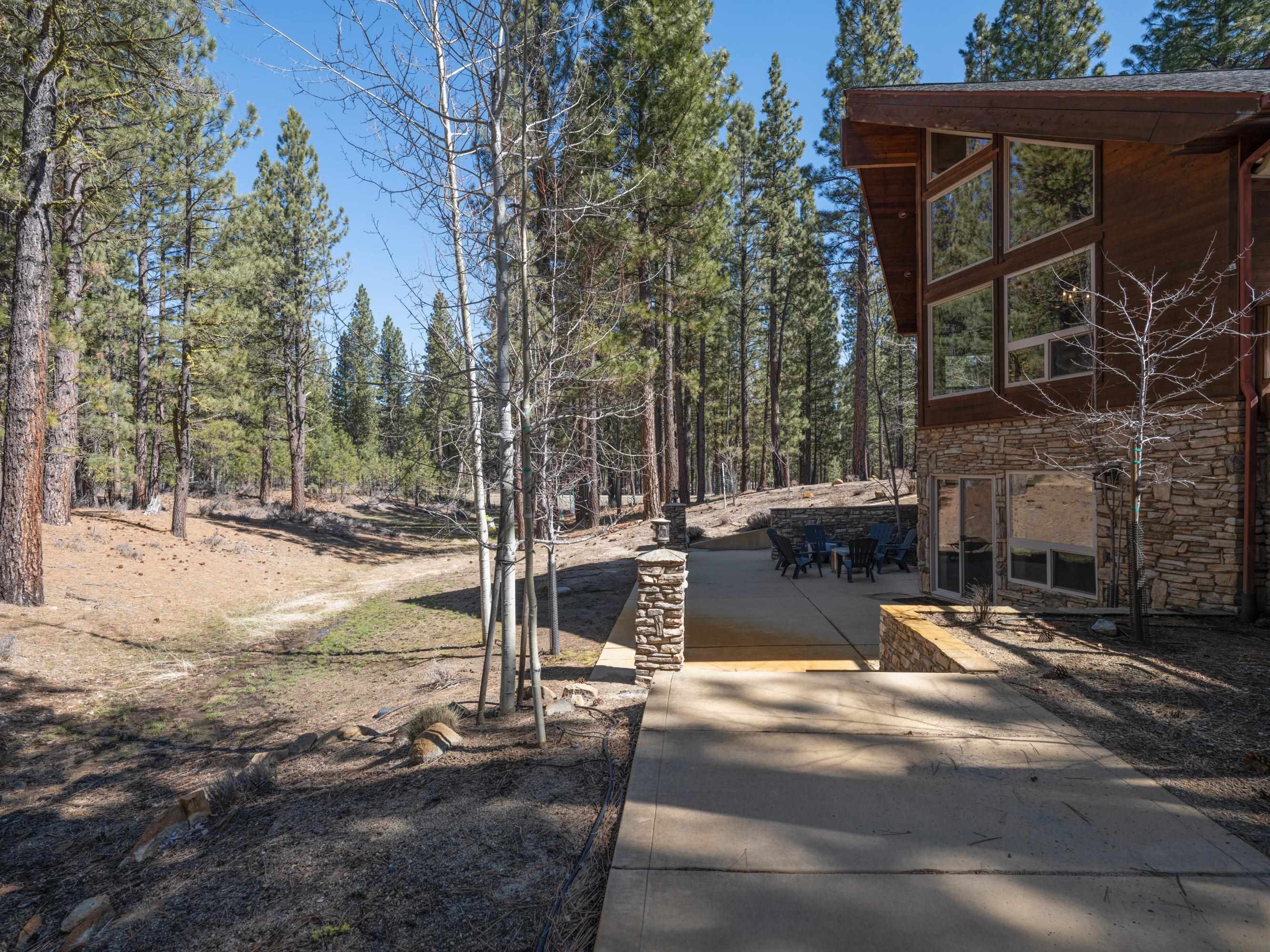 213 Cody Drive, Clio, California image 37