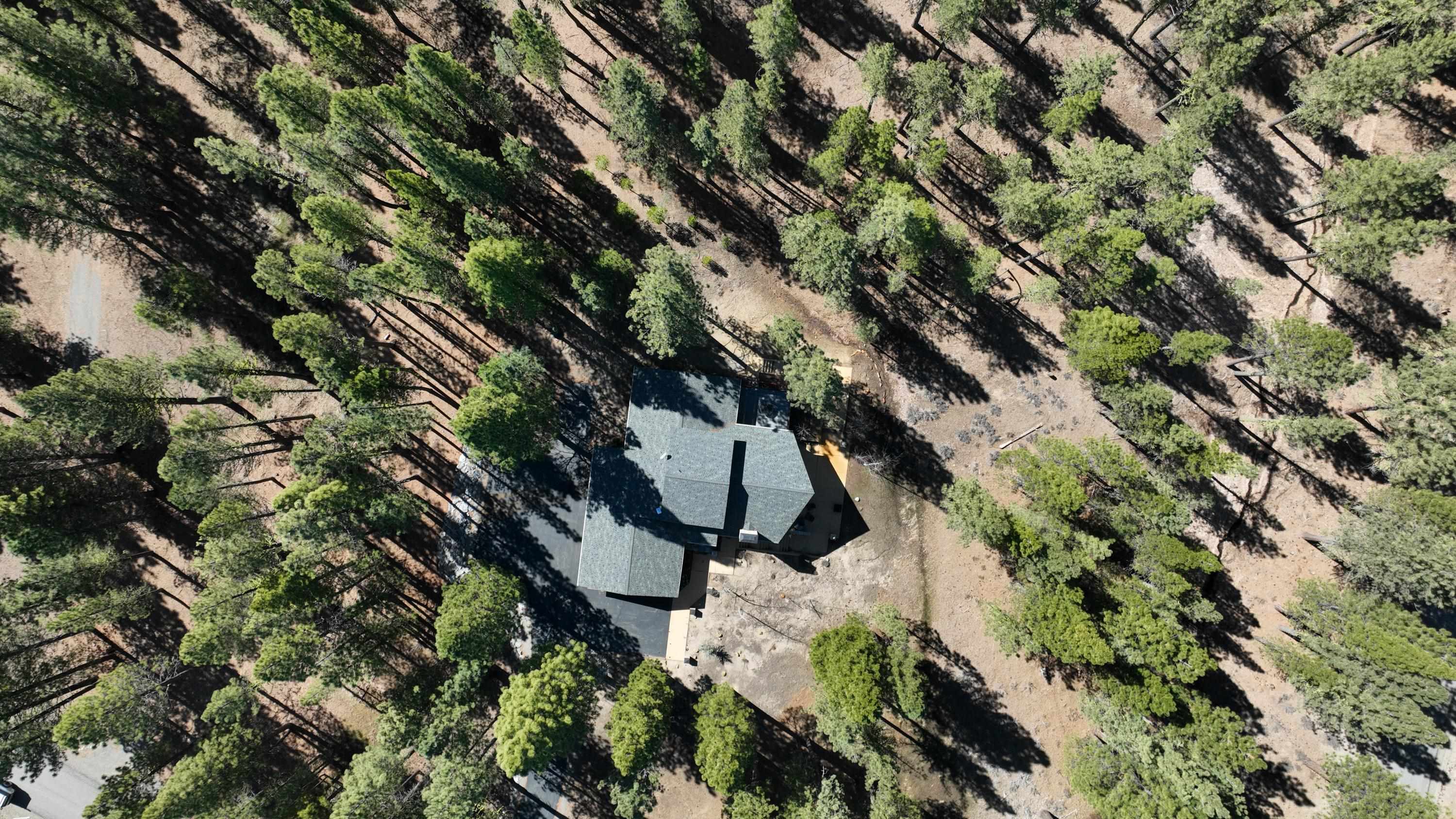 213 Cody Drive, Clio, California image 44
