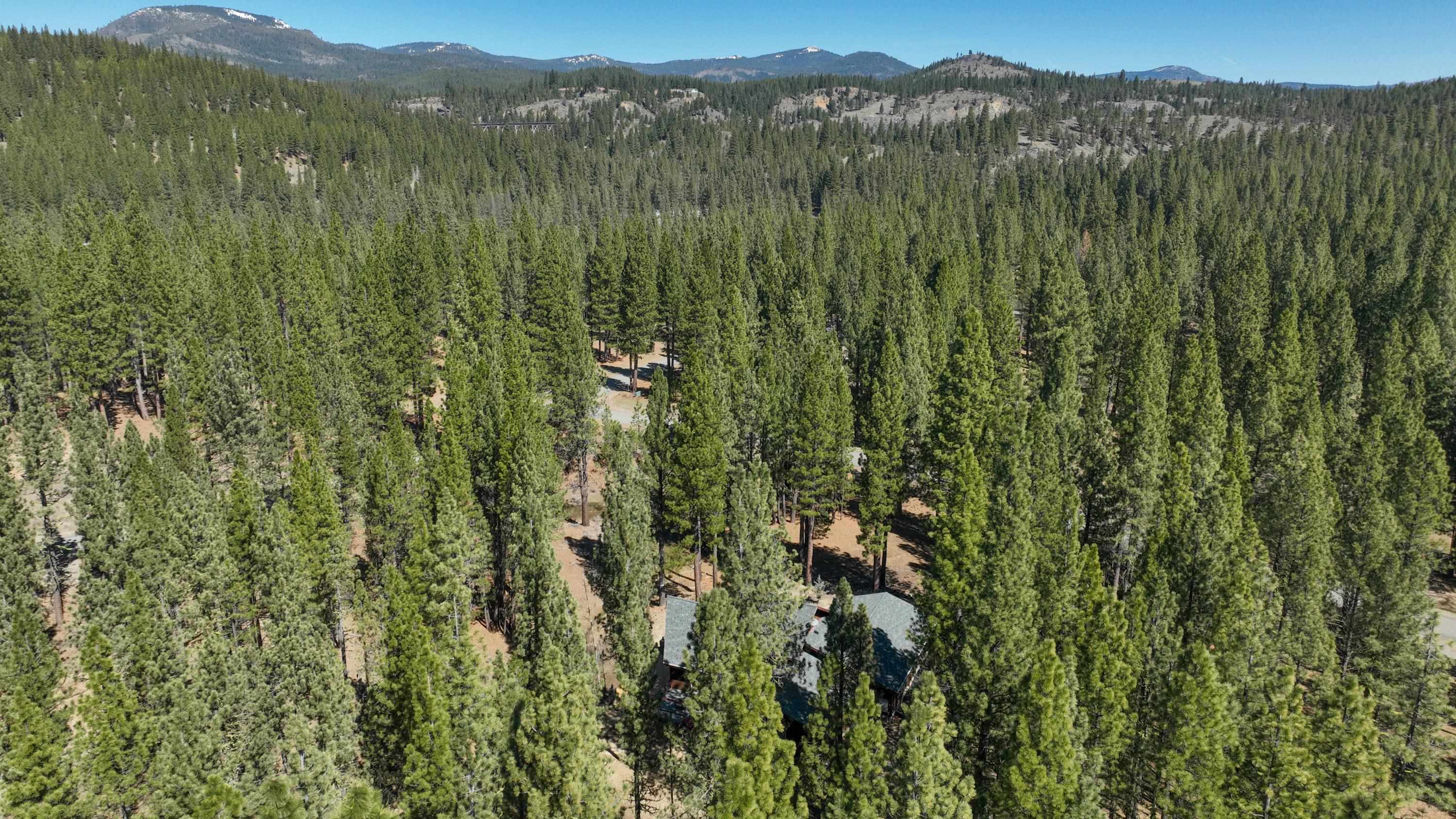 213 Cody Drive, Clio, California image 45
