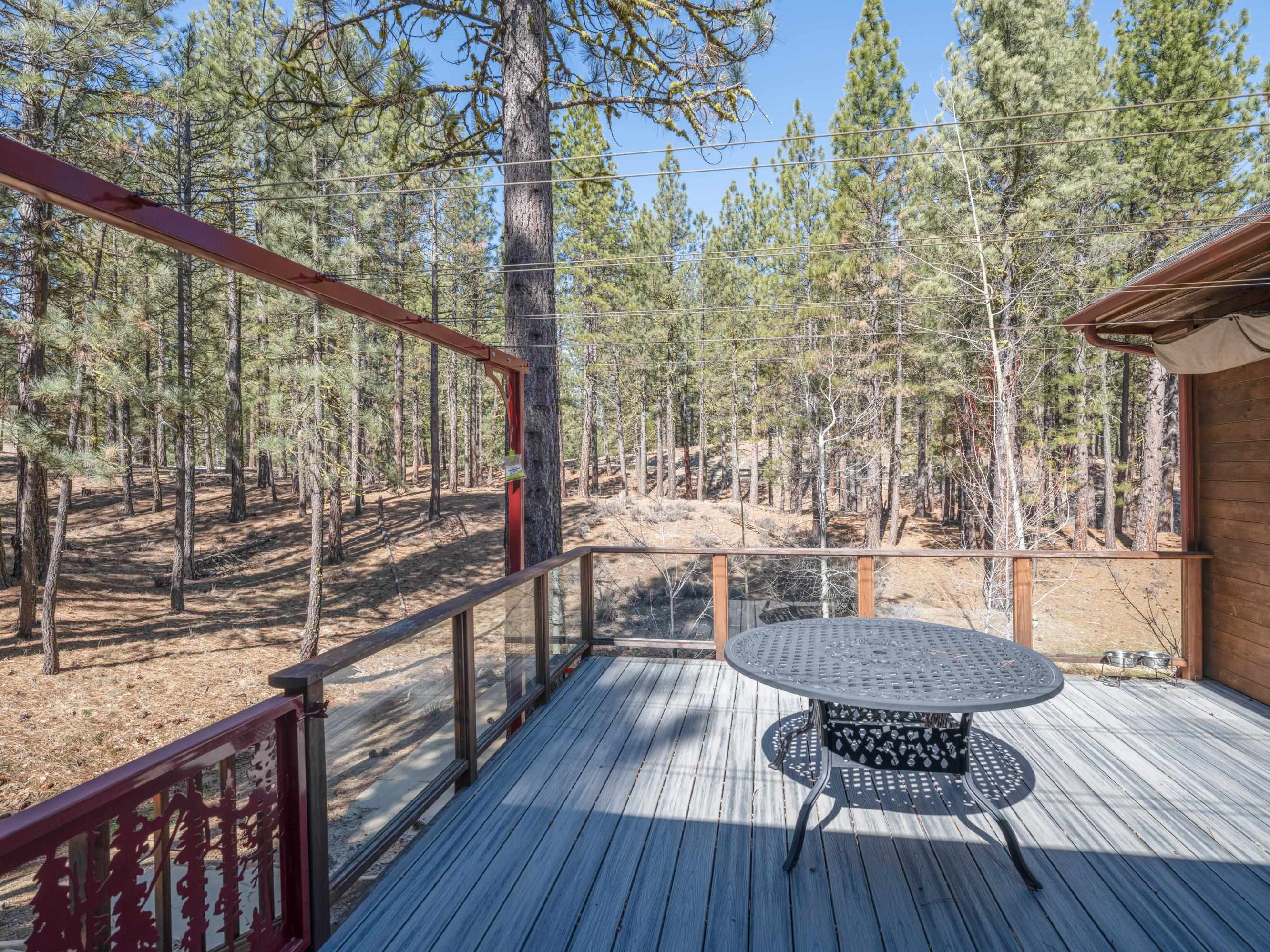 213 Cody Drive, Clio, California image 19