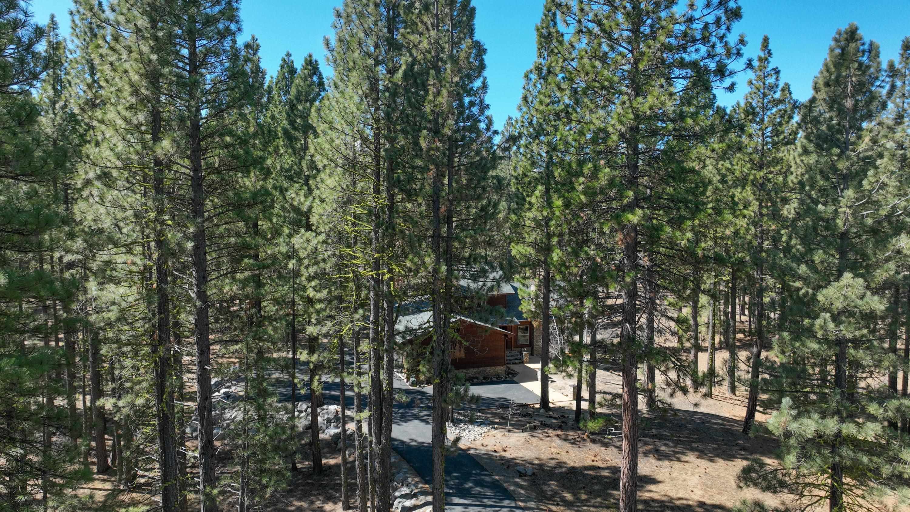 213 Cody Drive, Clio, California image 41