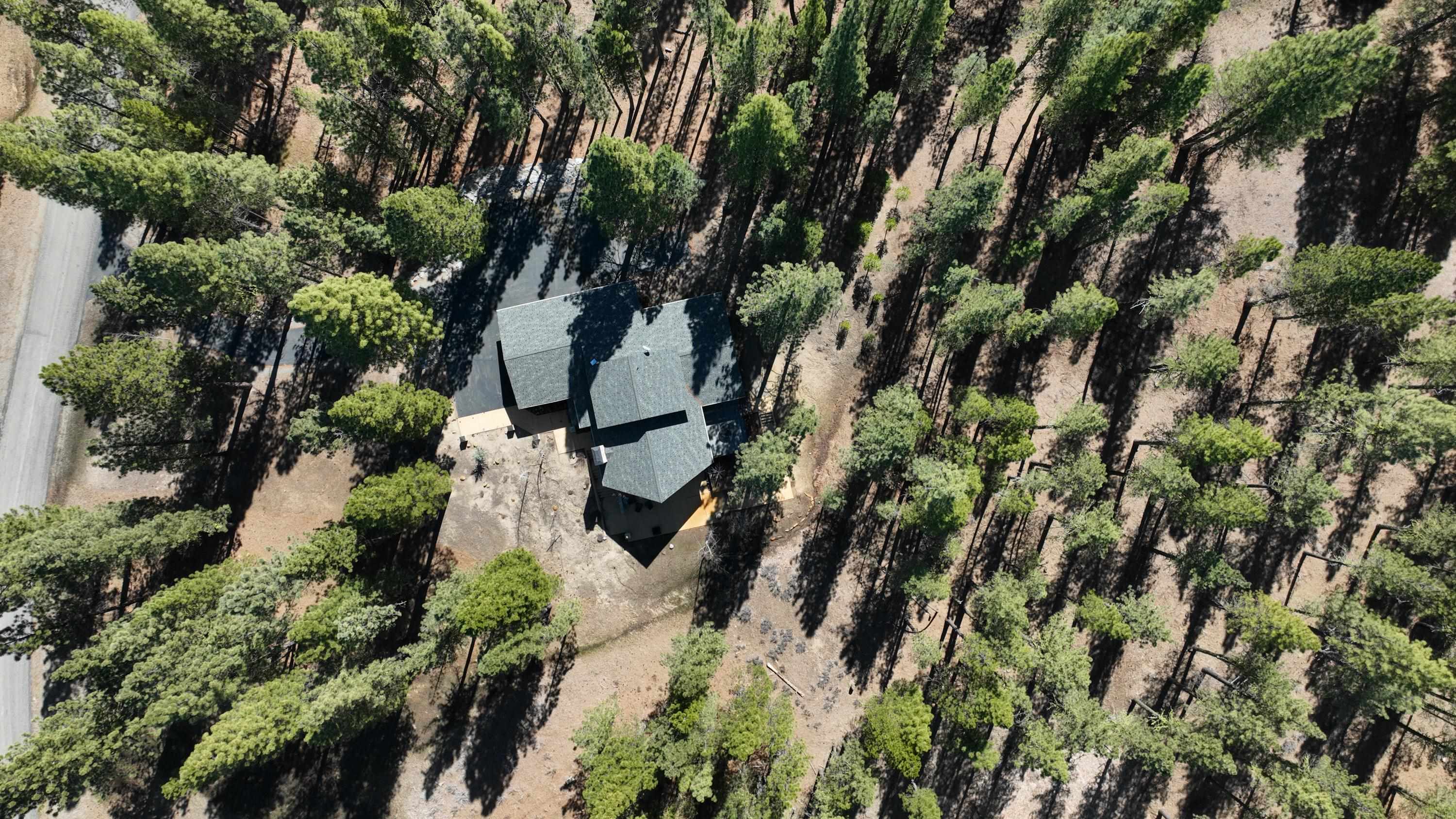213 Cody Drive, Clio, California image 43