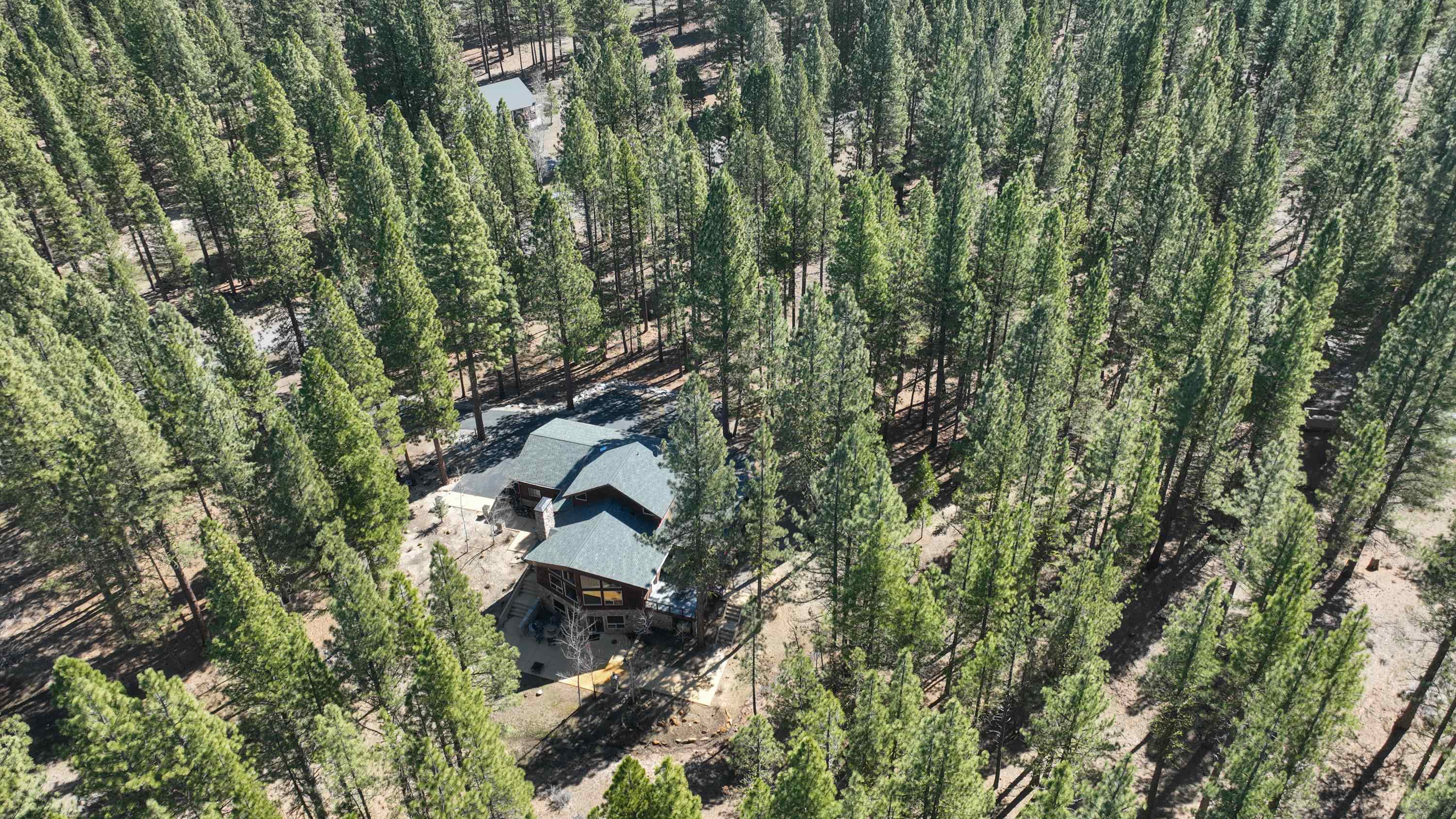 213 Cody Drive, Clio, California image 42