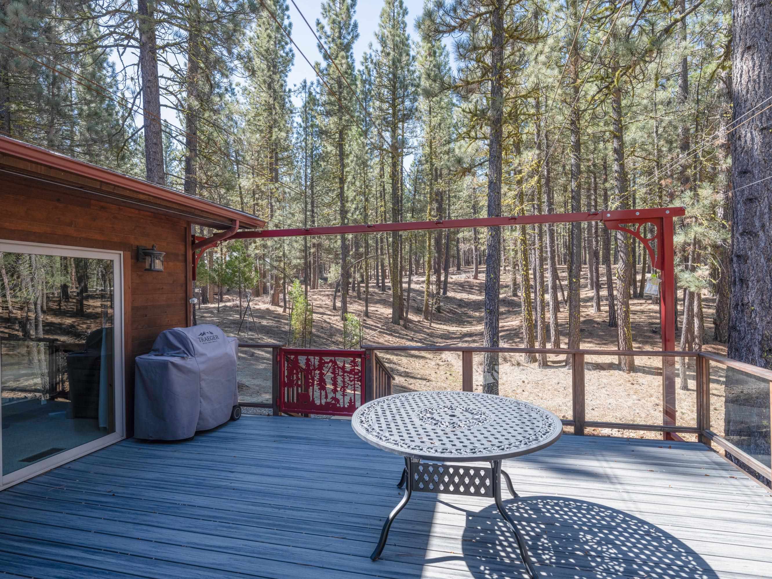 213 Cody Drive, Clio, California image 17