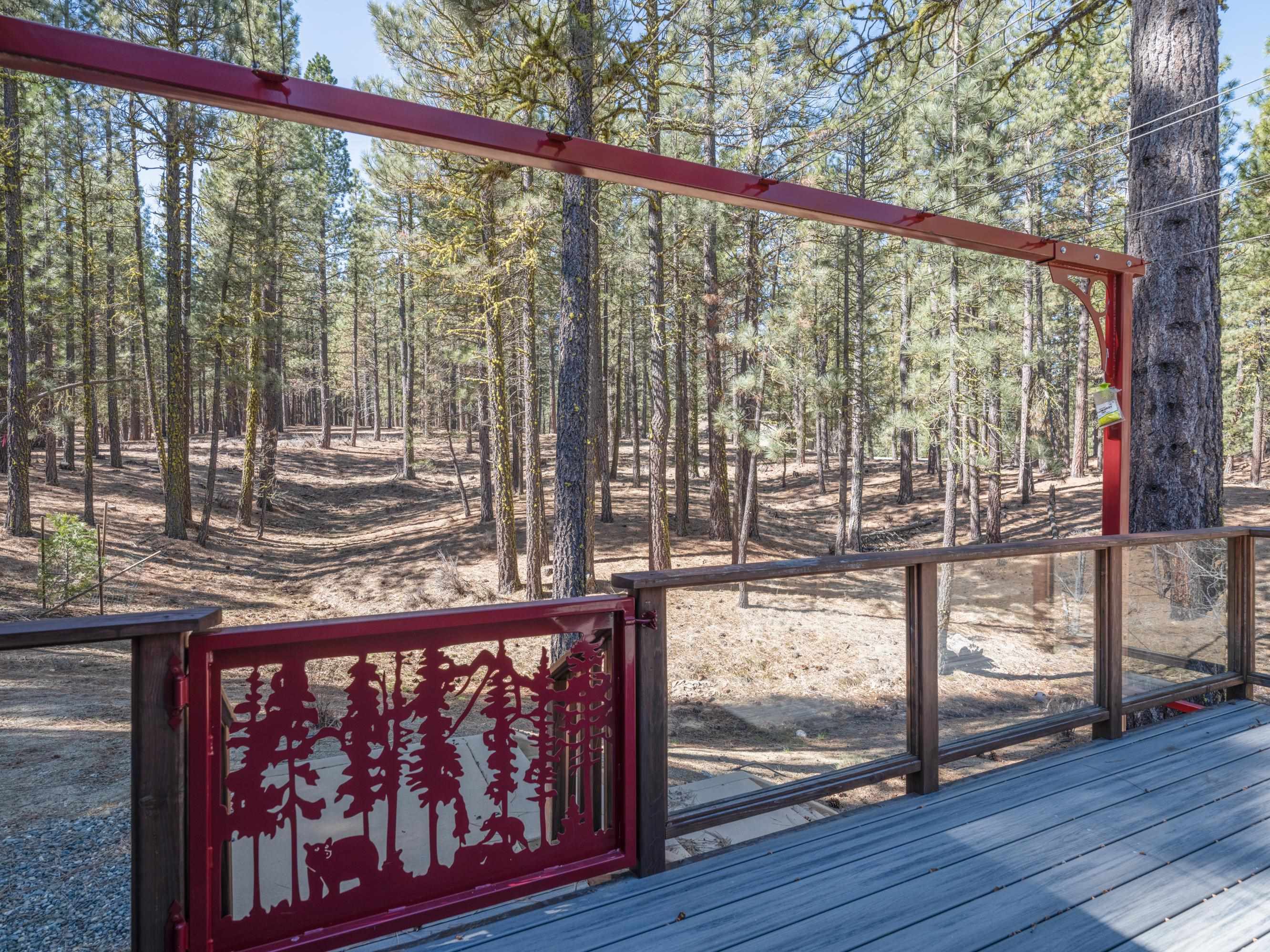 213 Cody Drive, Clio, California image 18