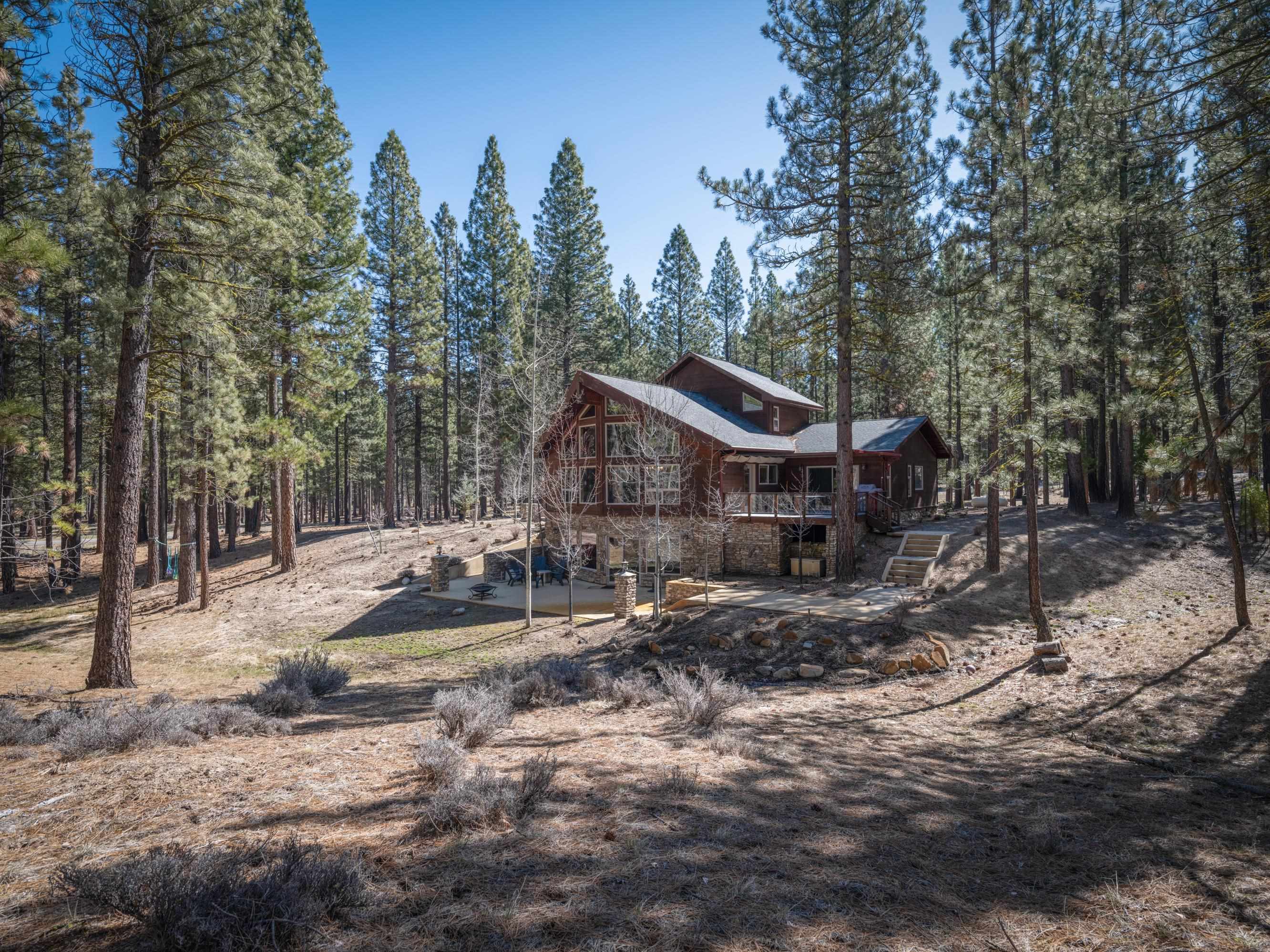 213 Cody Drive, Clio, California image 38