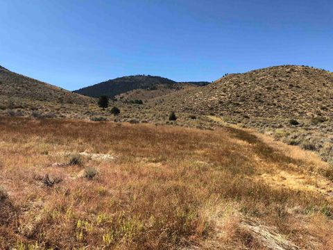 Vacant Land For Sale - 23 Dutchmans Road<br/> Chilcoot, CA 96118