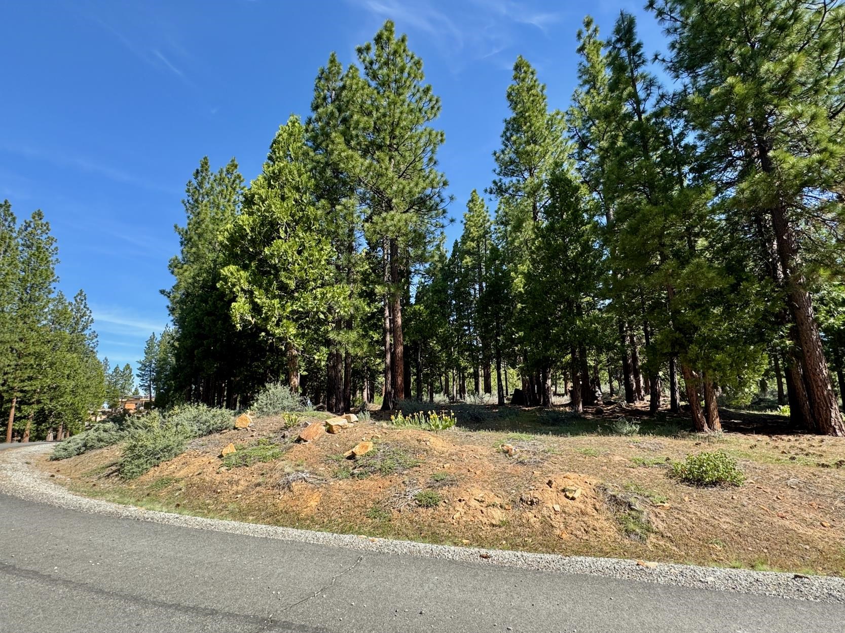 848 E Startop, Clio, New Mexico image 4