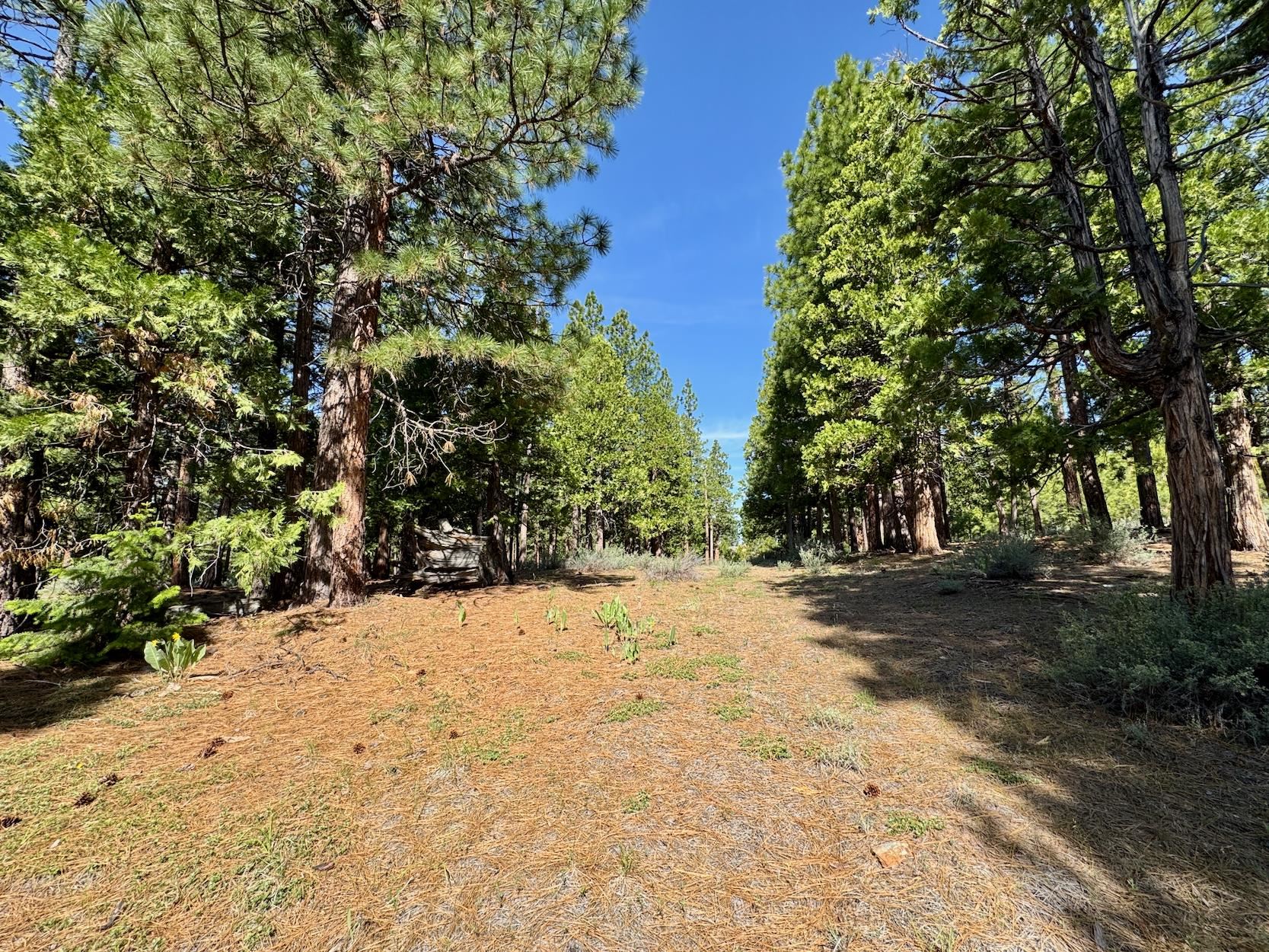 848 E Startop, Clio, New Mexico image 10
