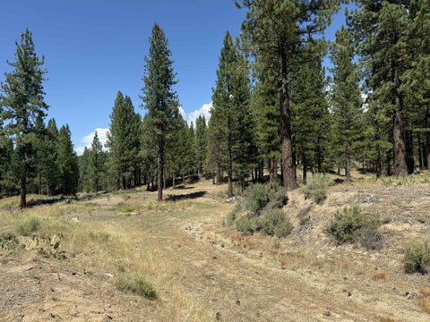 Vacant Land For Sale - 1359 Valley Ranch Drive Dr<br/> Clio, CA 96106
