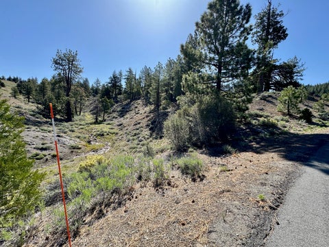 Vacant Land For Sale - 492 Clouds Rest Rst<br/> Portola, CA 96122