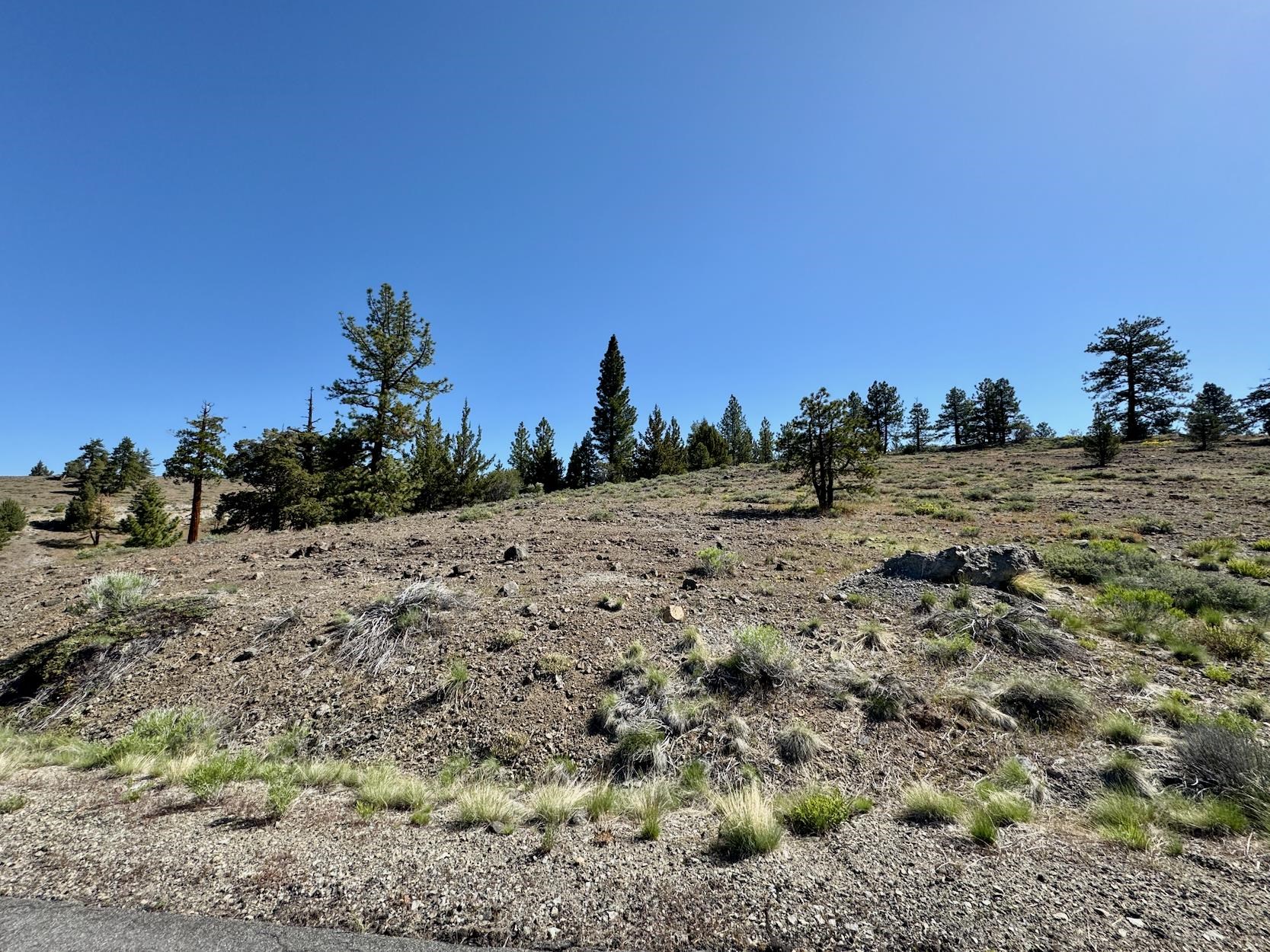492 Clouds Rest, Portola, New Mexico image 5